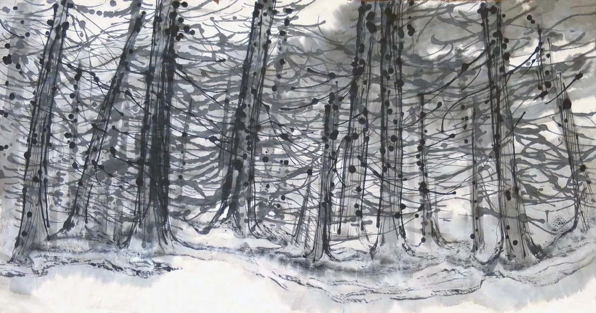 California Sequoias 加州紅杉