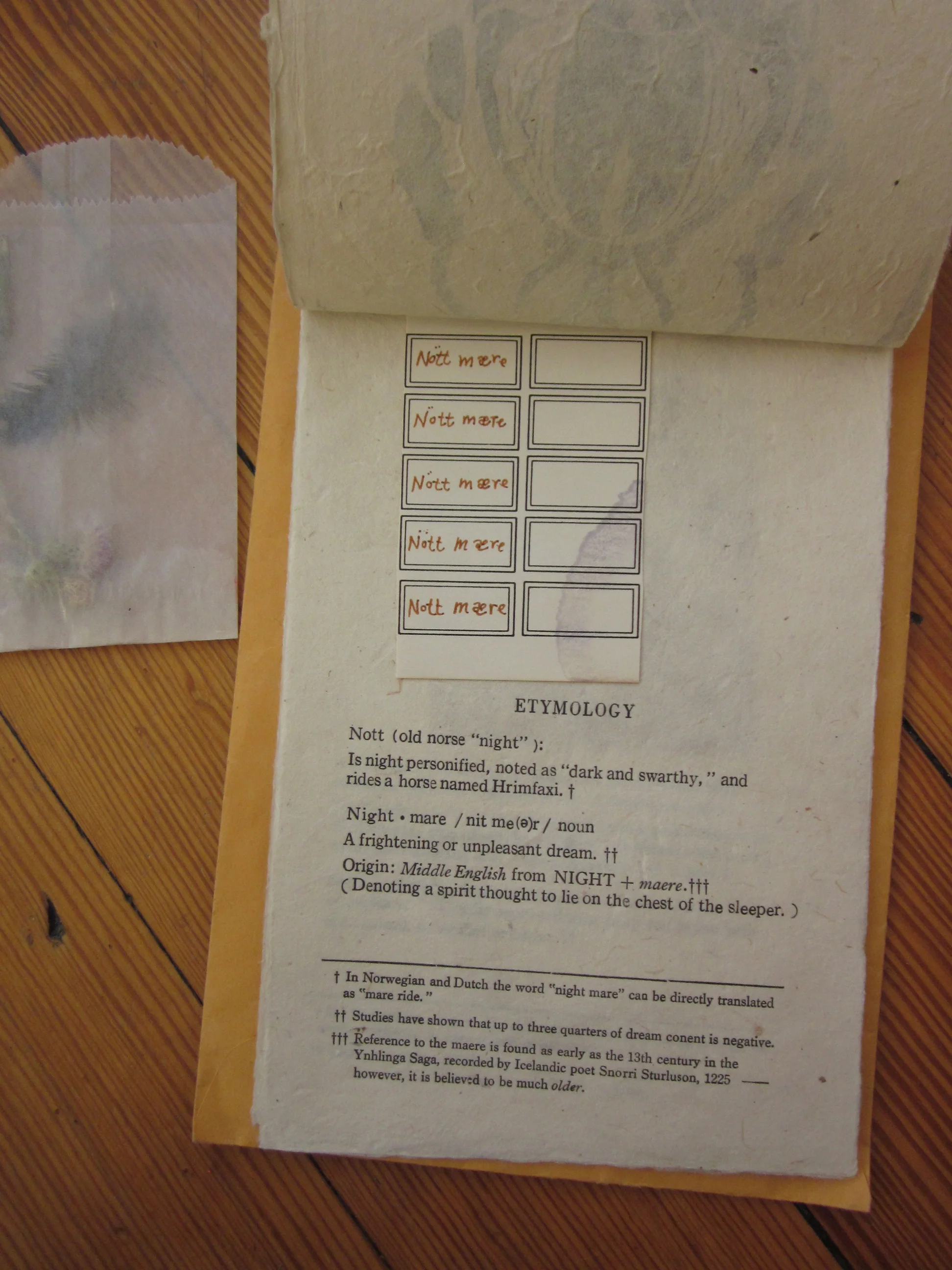 "The Study of the Mære" artist book detail