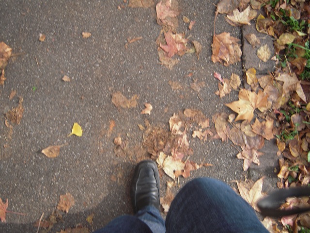 DSCN6647-1.jpg