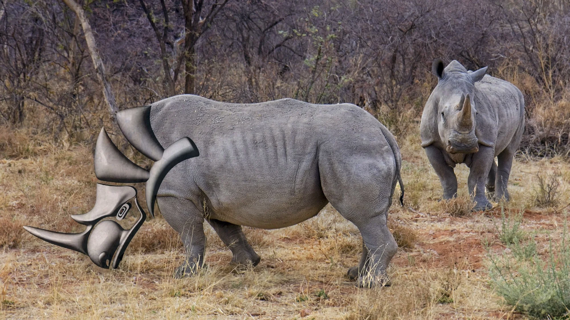 2012-07-23 - PM | Modified 2012-07-23 | Rhino in Reality Nbbj.Designcomputation.Call04.Digitalrealities-Early Draft.jpg