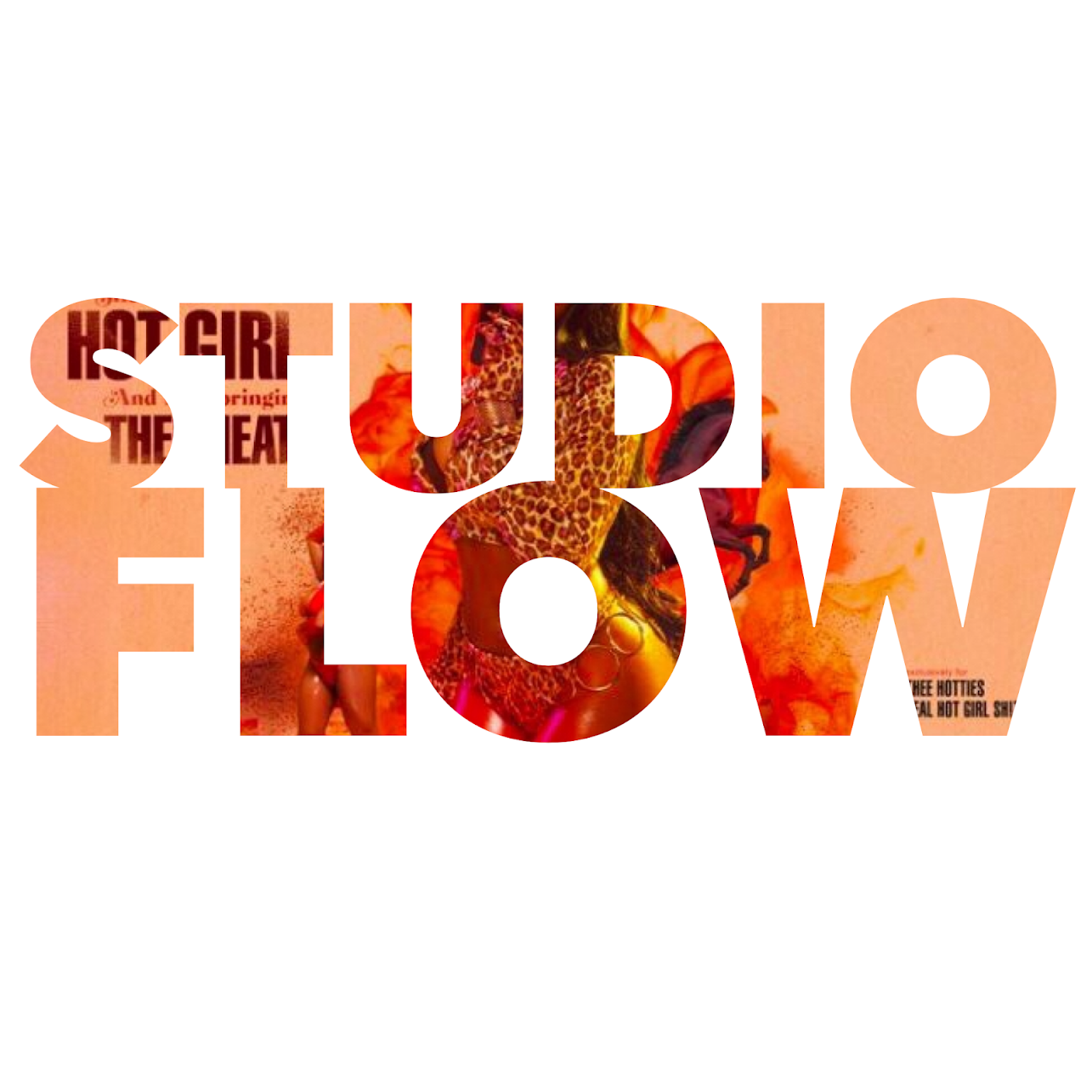 Review: Megan Thee Stallion - Fever