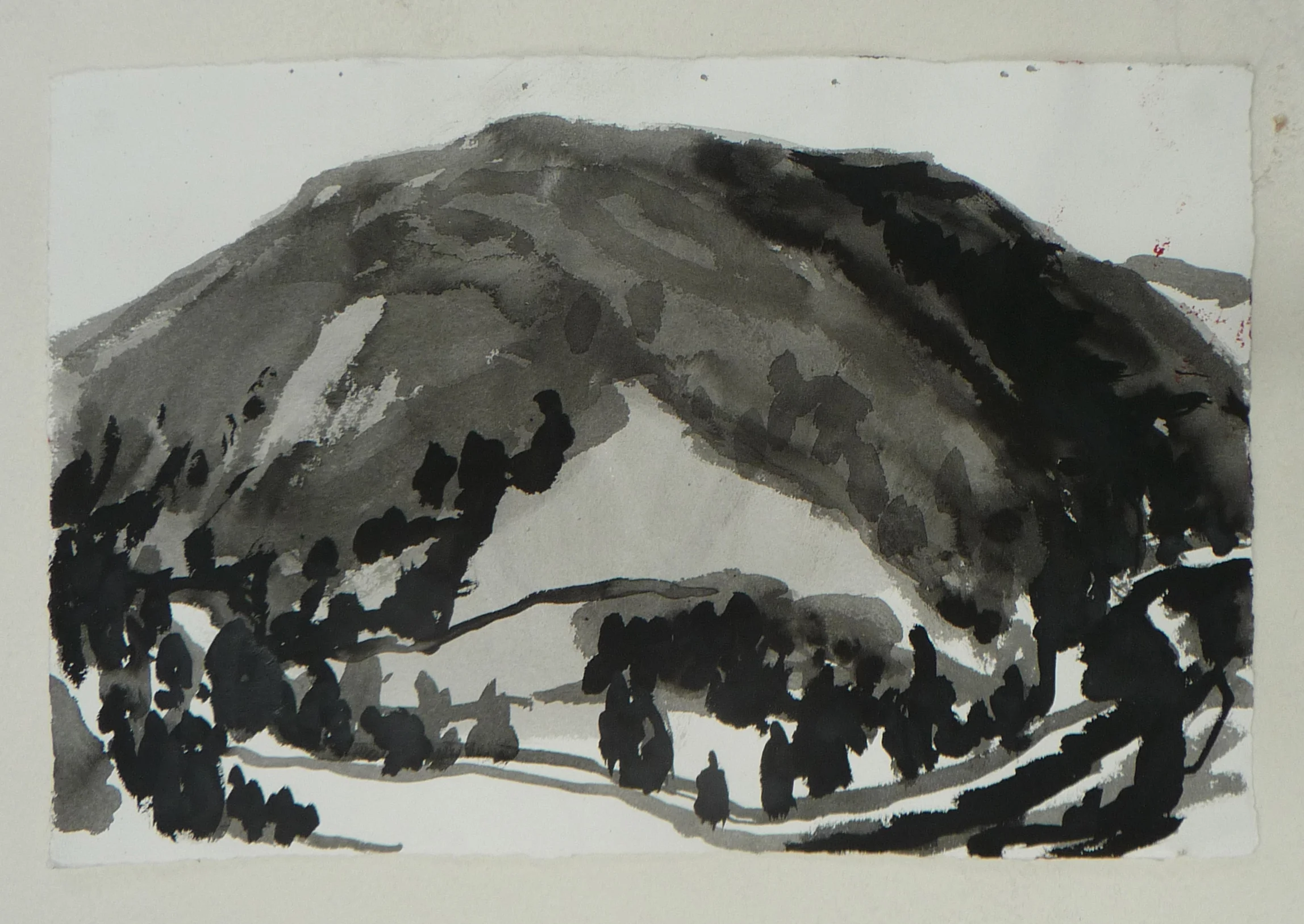   Bridal track study II &nbsp;&nbsp;2011 ink on paper 32 x 49cm 