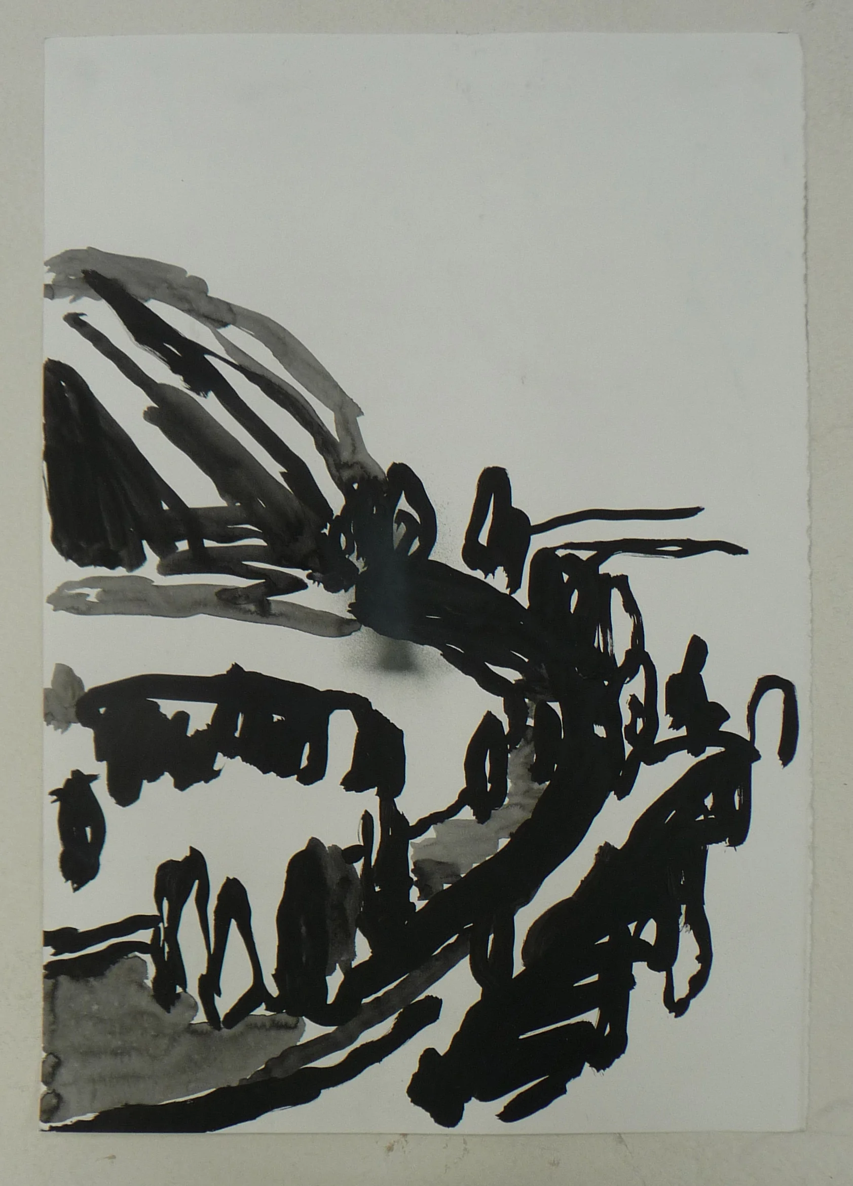   The Turon &nbsp;&nbsp;2011 ink on paper 50 x 33cm 