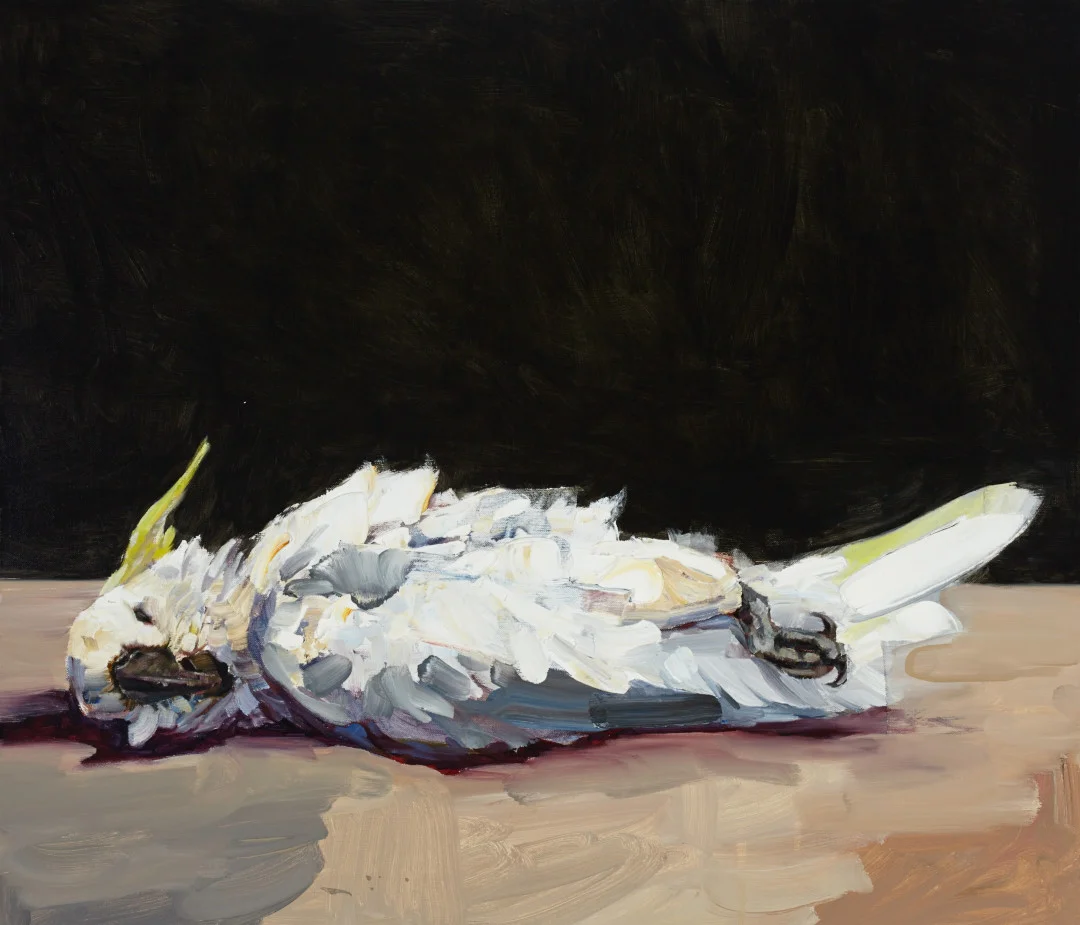  Wreck no.2. 61cm x 71cm oil on linen 