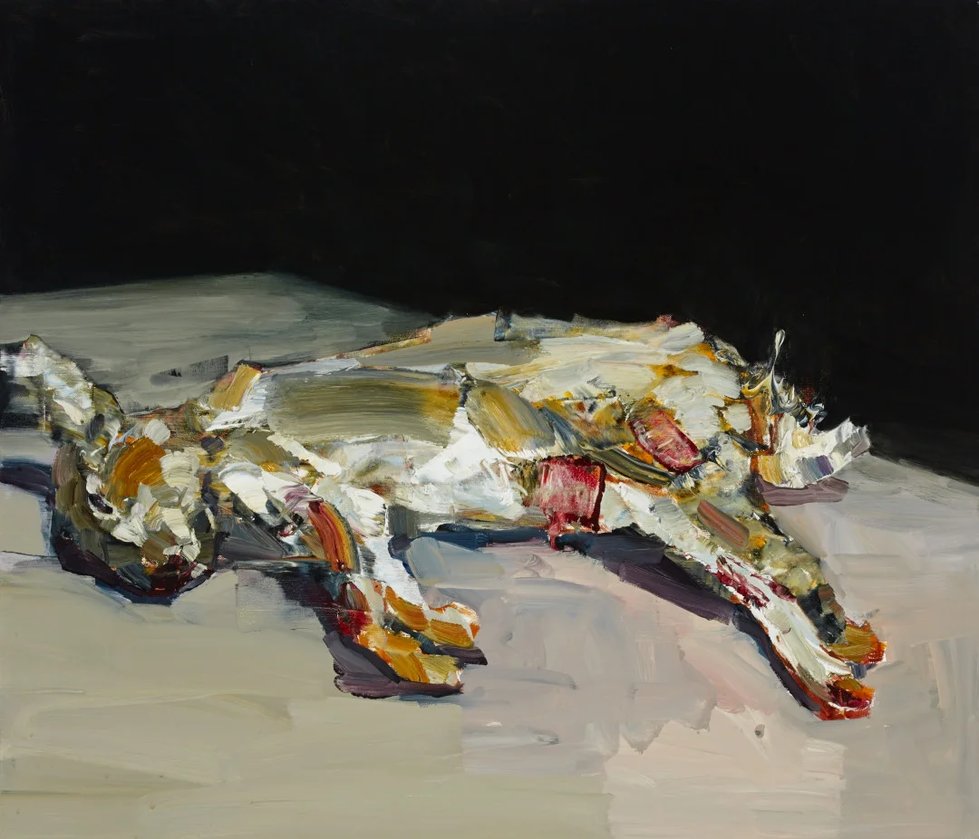  feral 61cm x 71cm oil on linen 