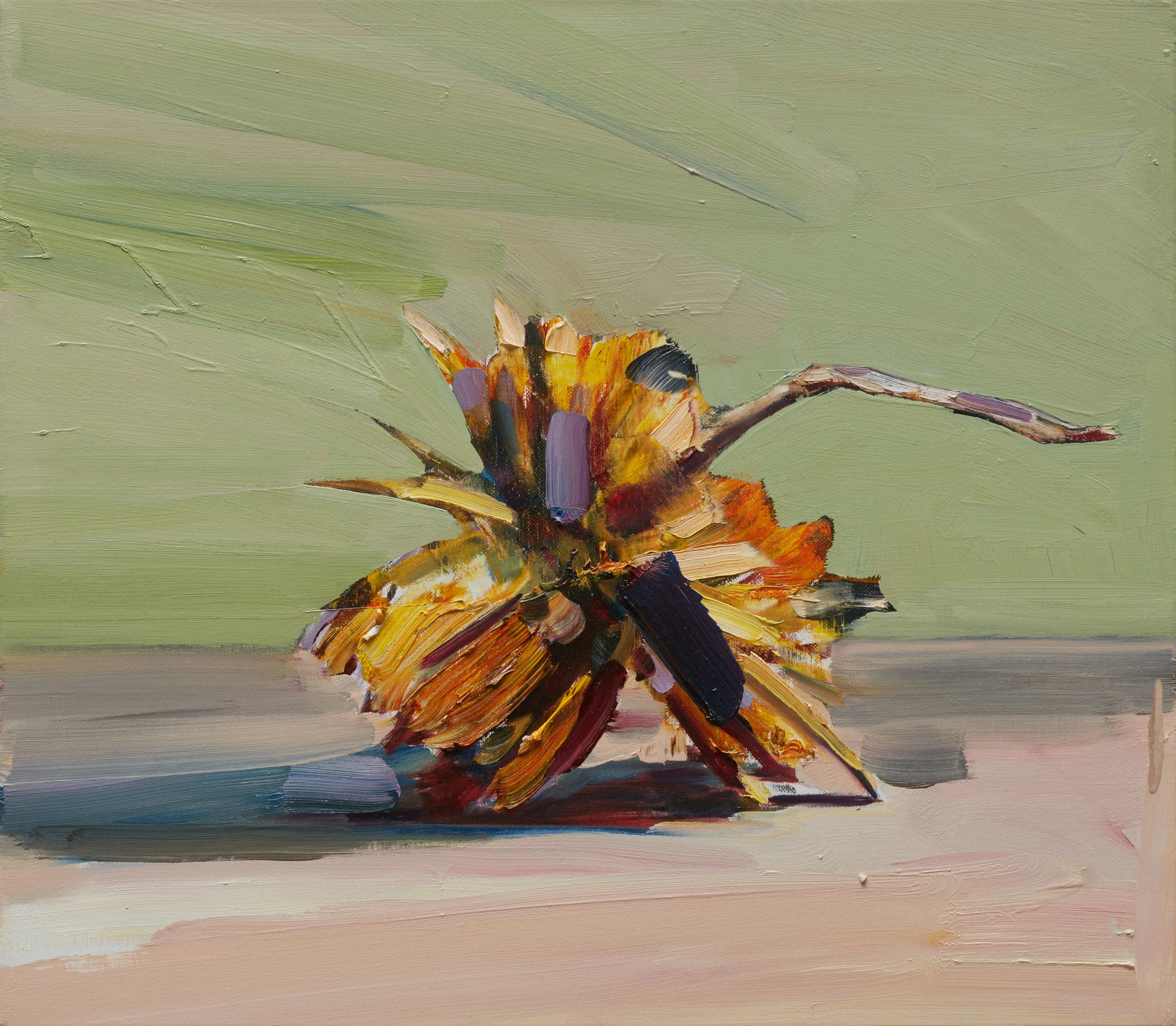 Paper Daisy, 2017, oil on linen, 36 x 41 cm