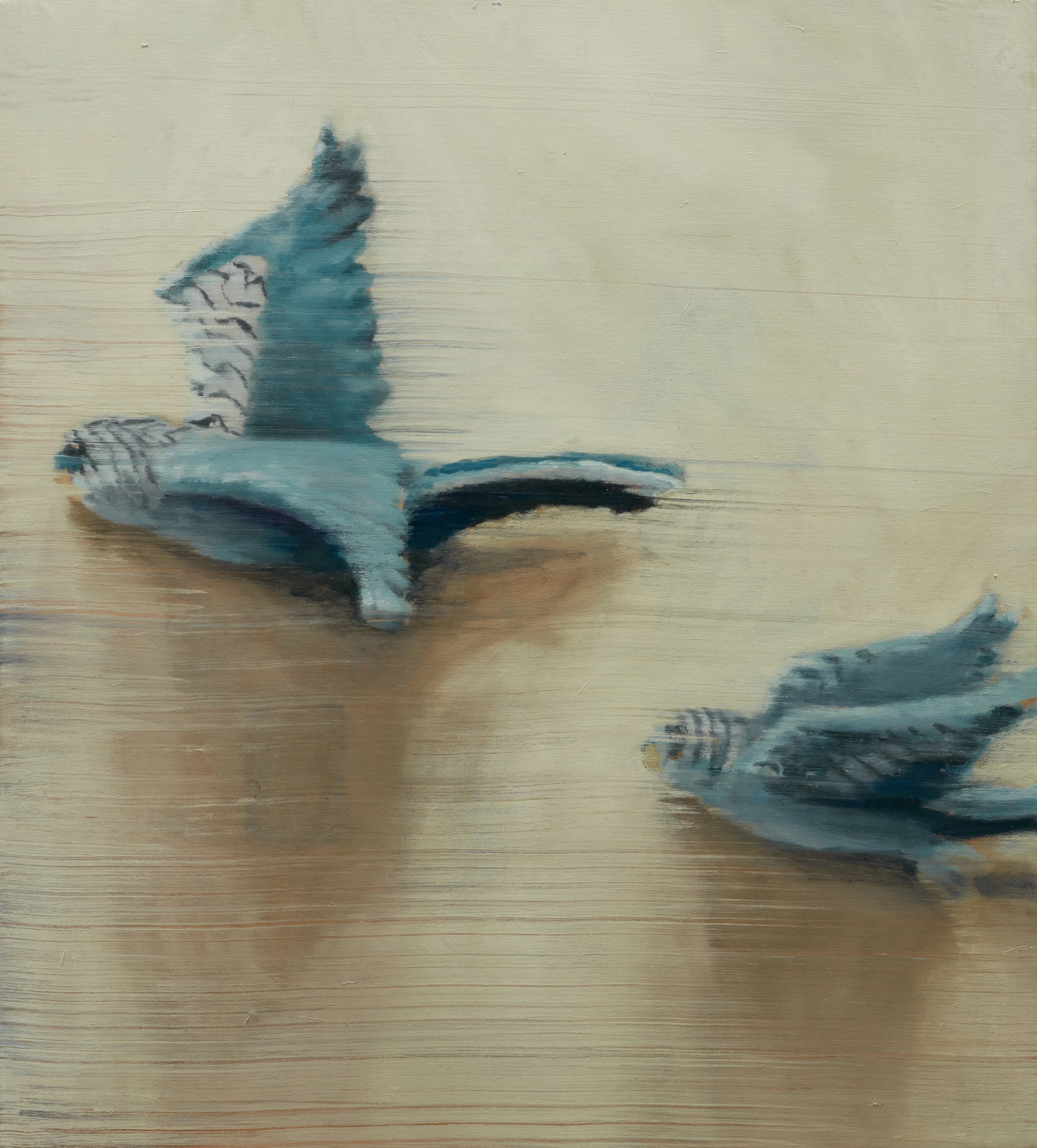 Still Life 51x46cm.jpg