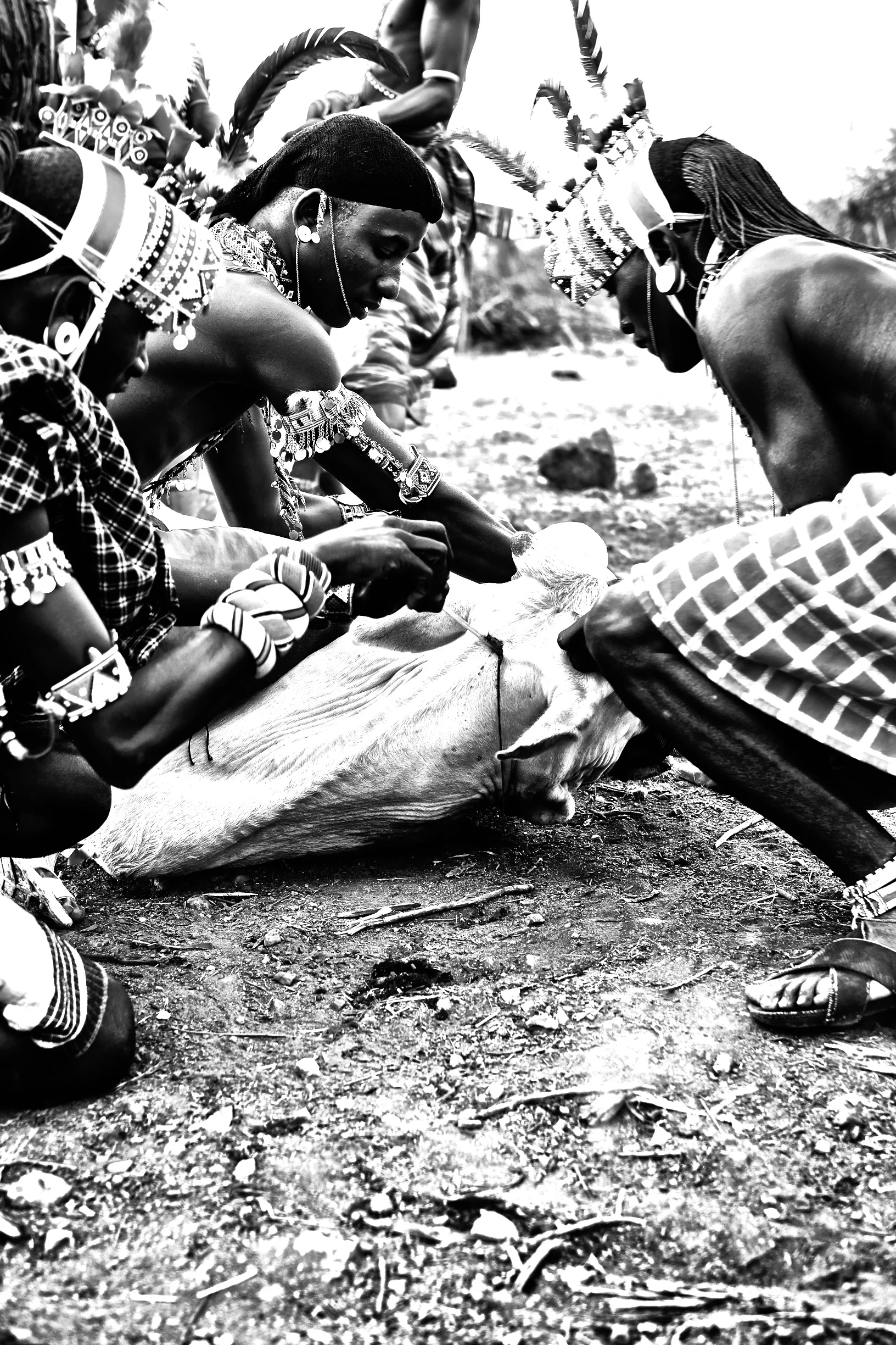 Kenya14-6JPEG 47512.jpg