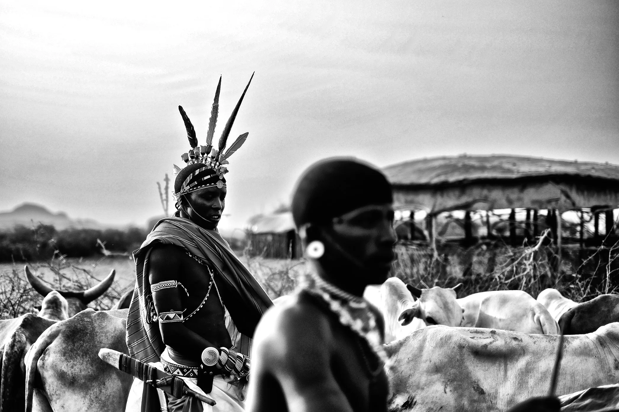Kenya14-6JPEG 47537.jpg