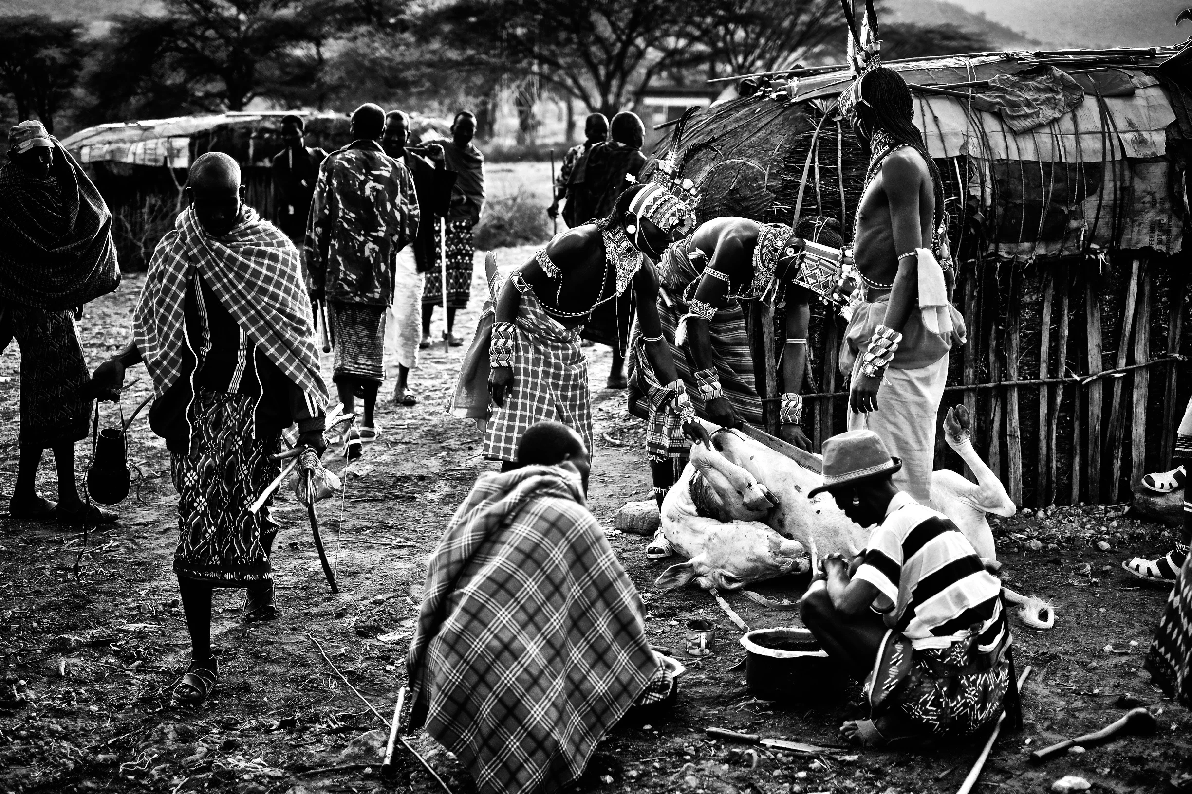 Kenya14-6JPEG 47546.jpg