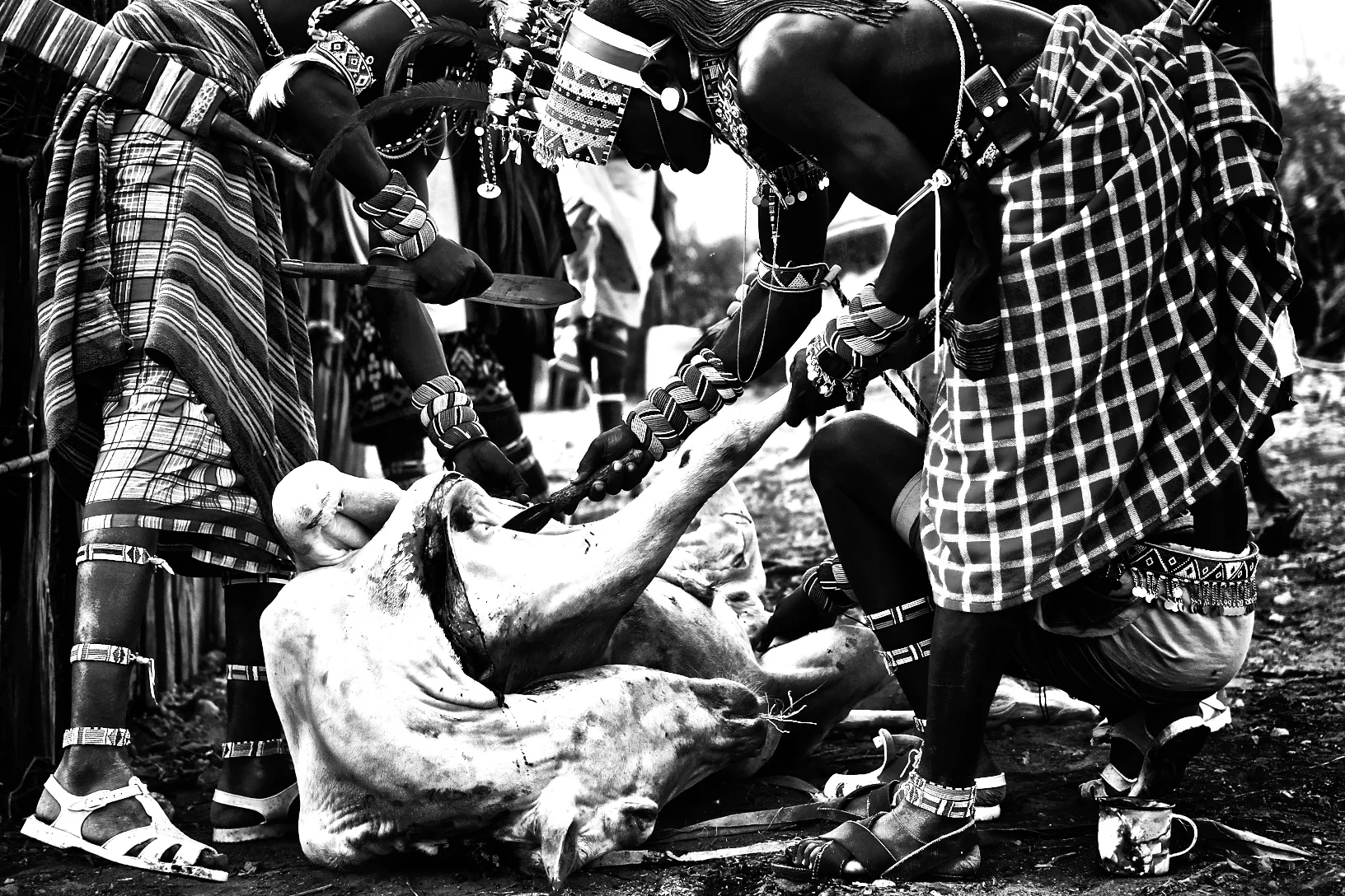 Kenya14-6JPEG 47581.jpg