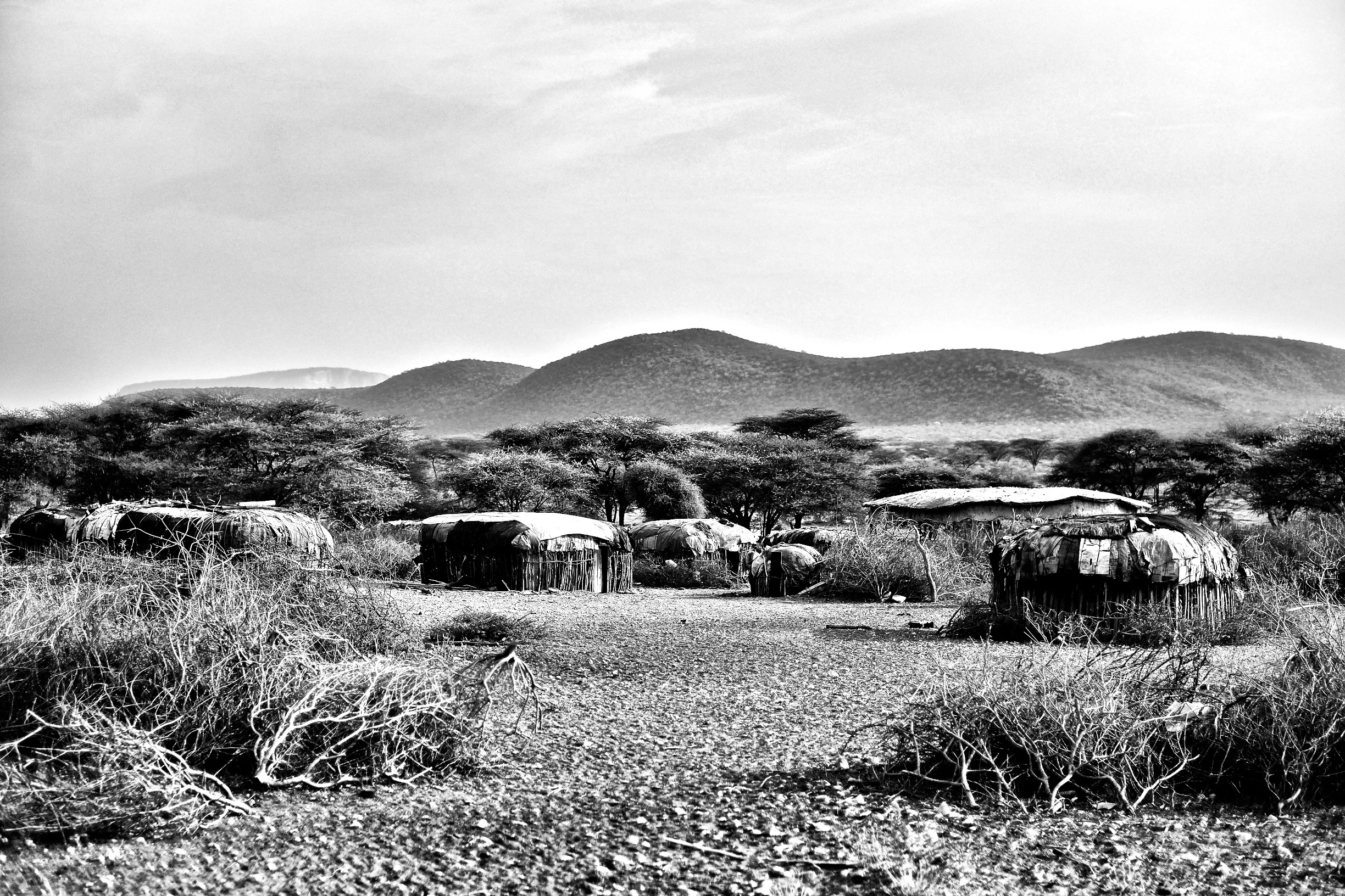 Kenya14-6JPEG 47632.jpg