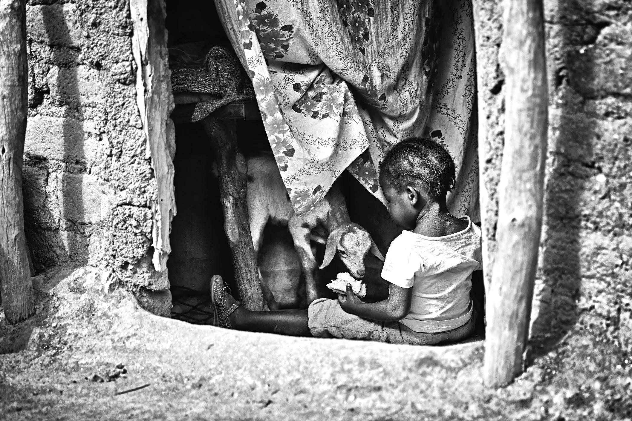 Child & Goat Sharing