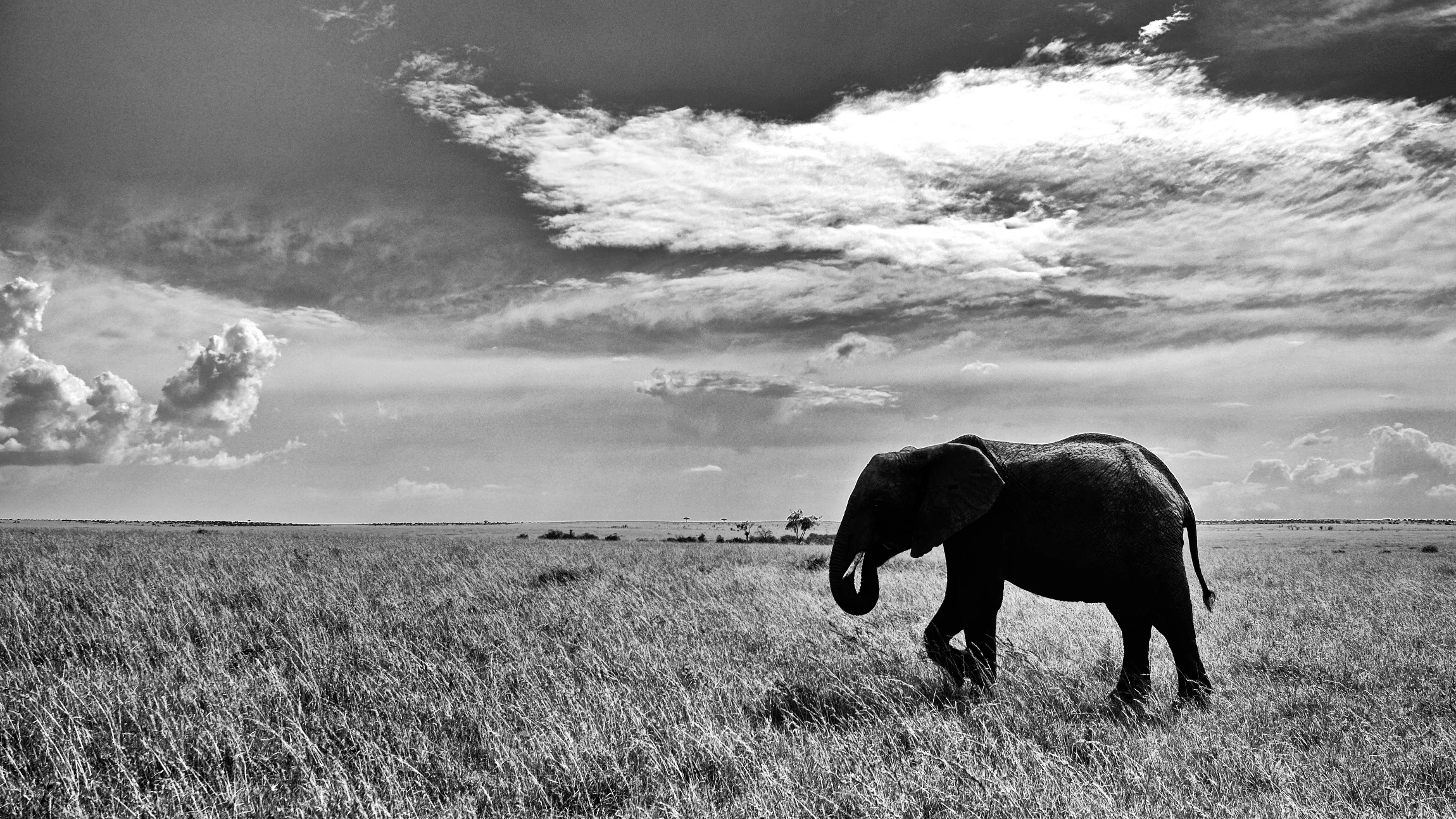 Kenya14-5JPEG 44979.jpg