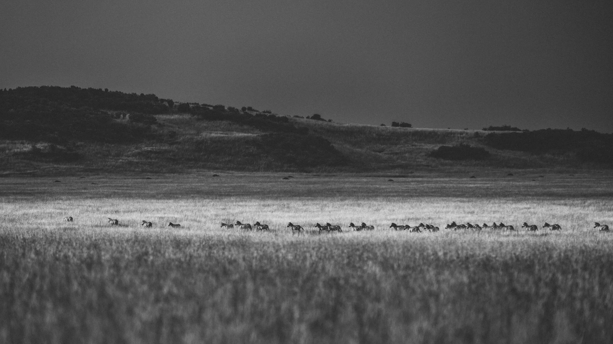 20150811-_K4A8484-Bearbeitet.jpg