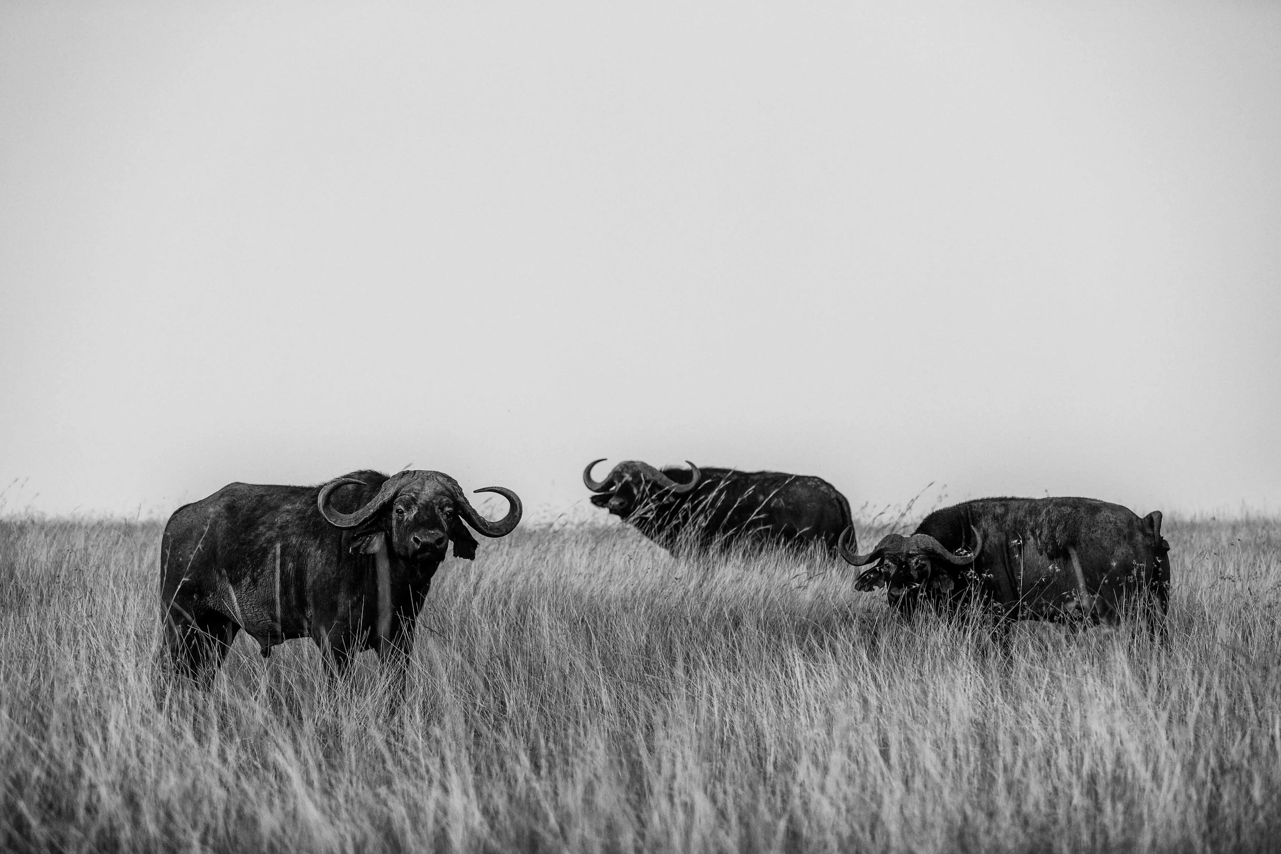 20150811-_K4A8509-Bearbeitet.jpg