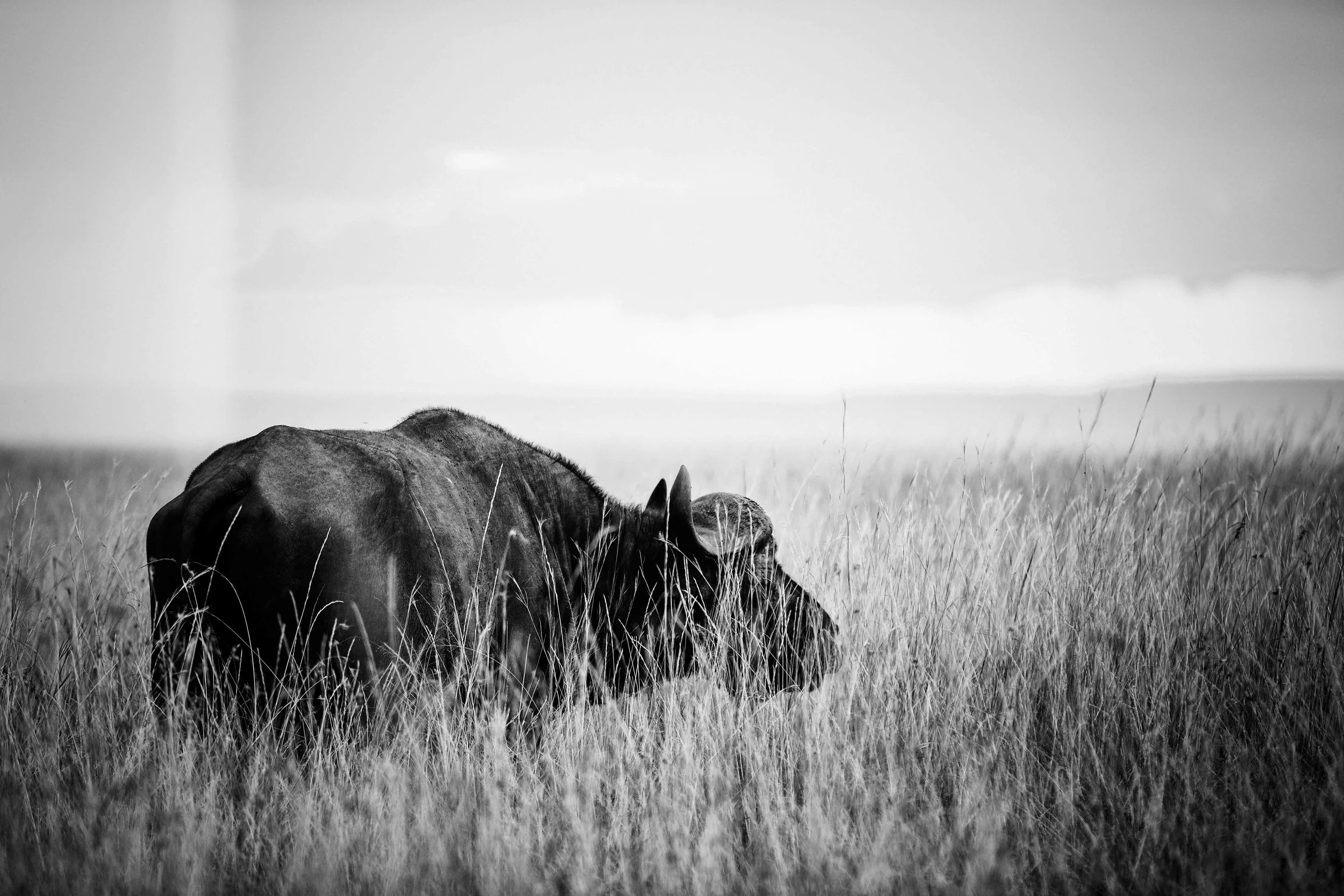 20150815-_K4A0408-Bearbeitet.jpg