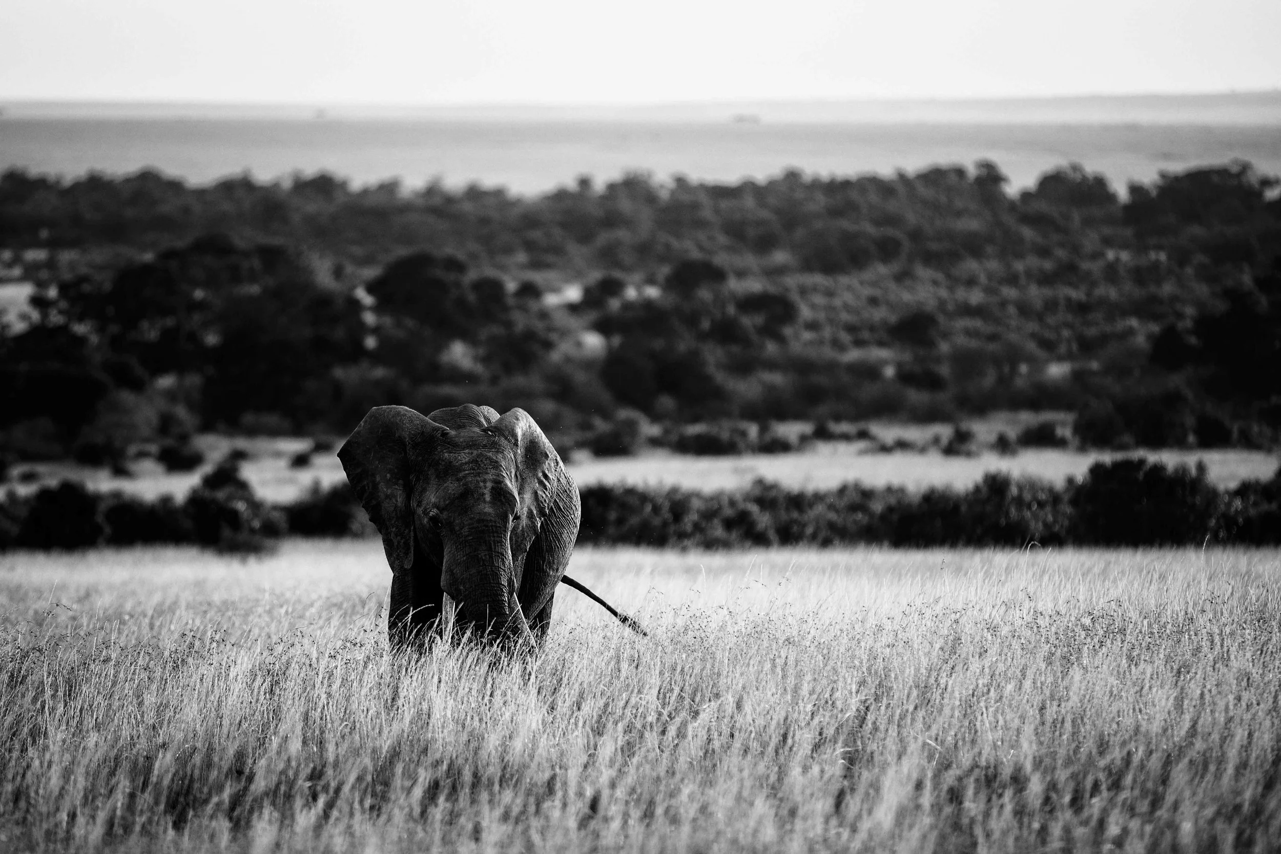 20150816-_K4A0521-Bearbeitet.jpg