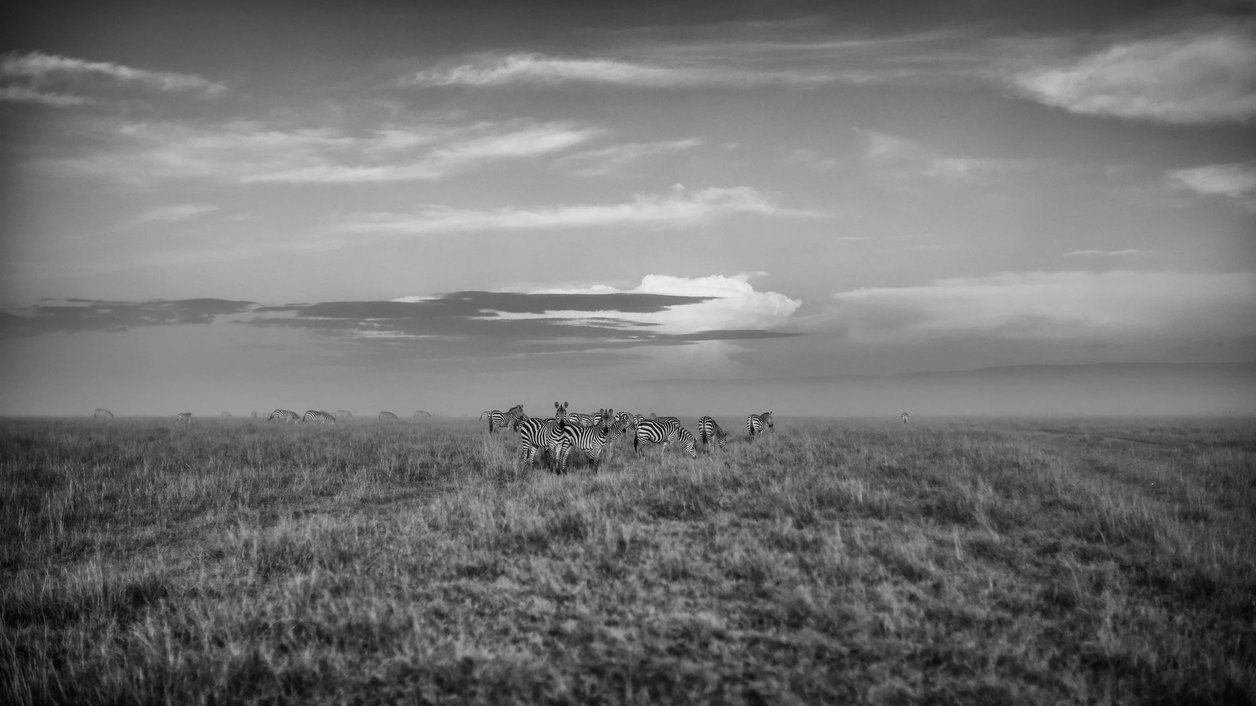 20160219-_J7A7275-Bearbeitet.jpg