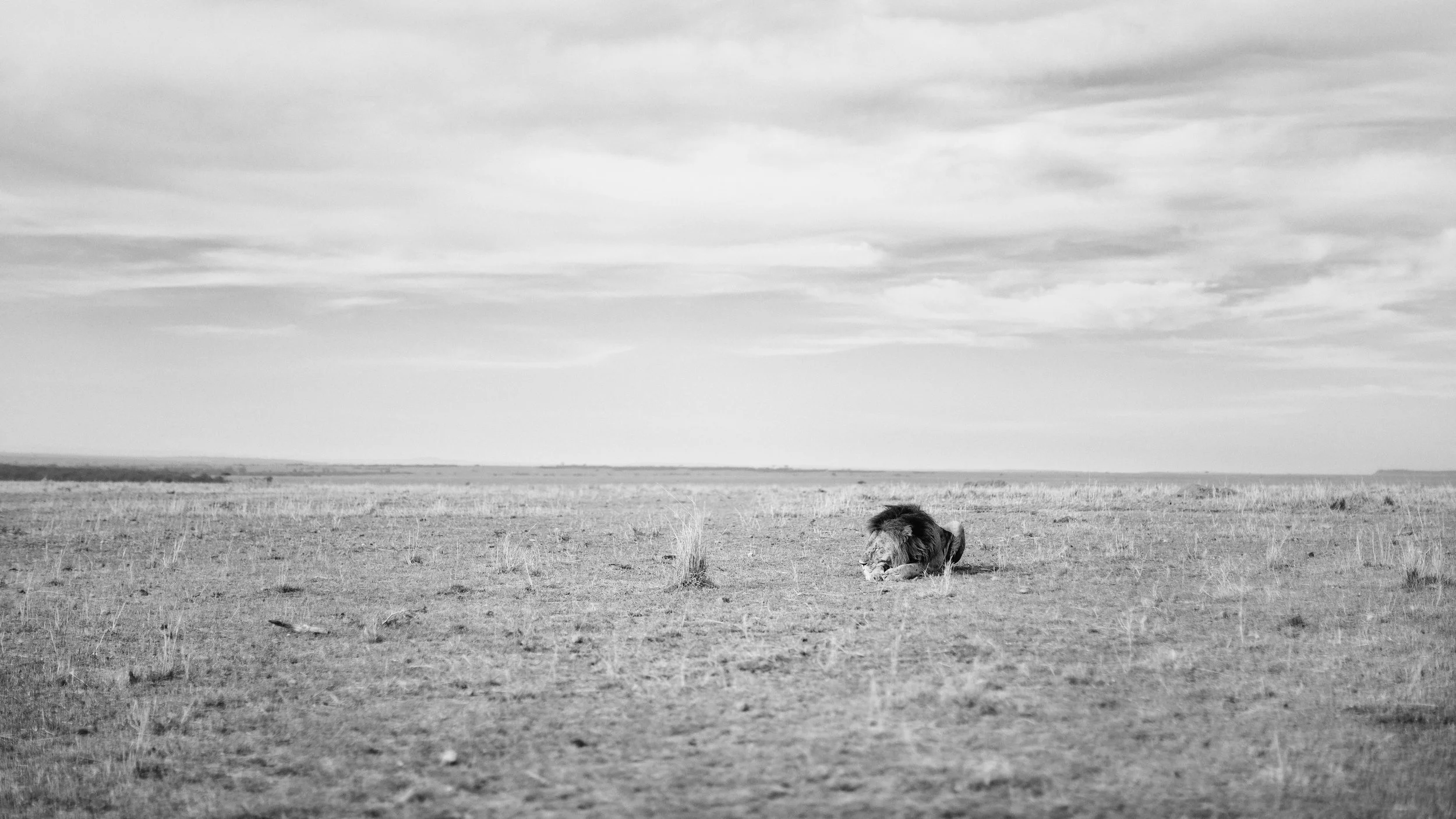 20160219-_J7A7405-Bearbeitet.jpg