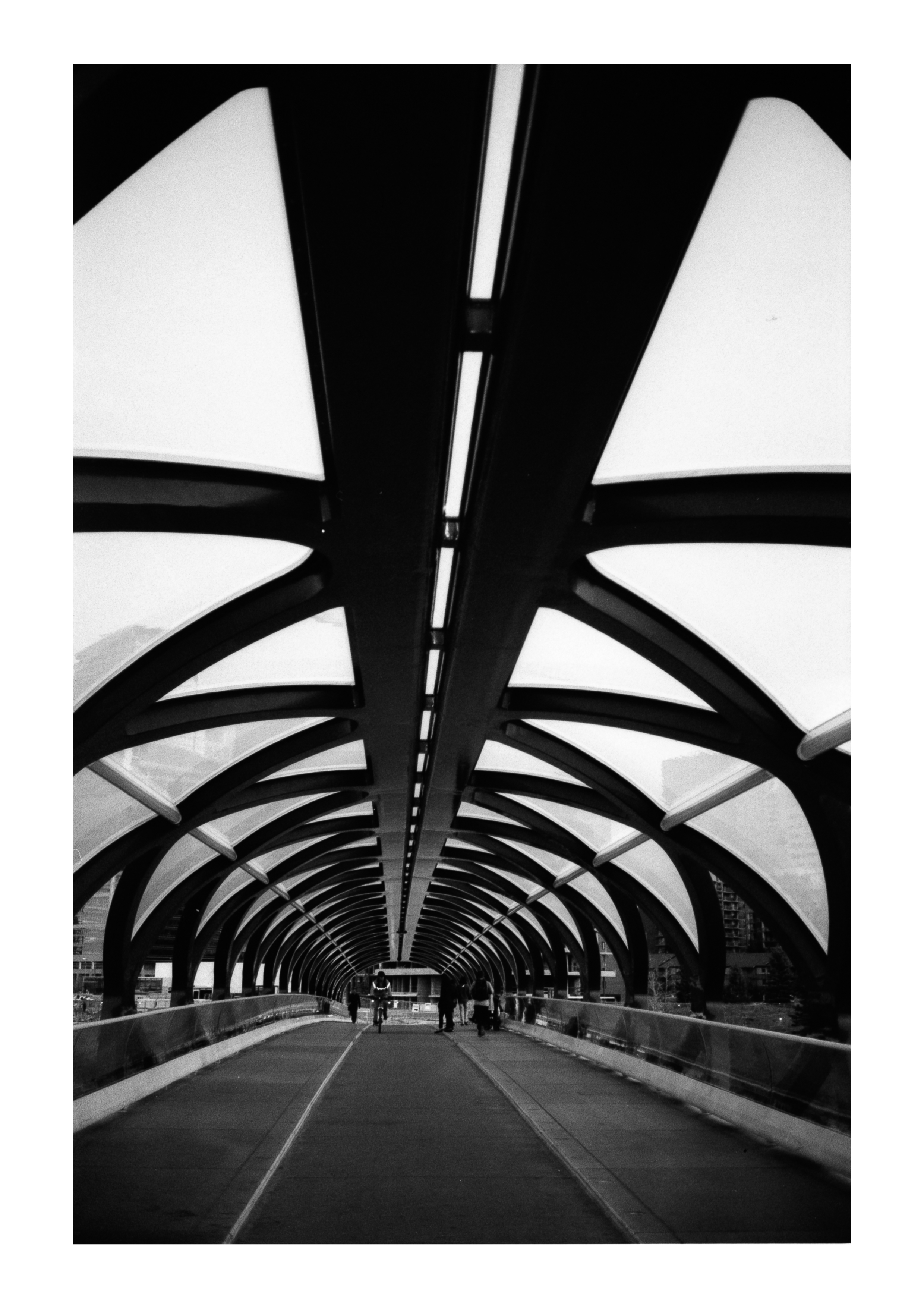 Diamondtimes Calgary Peac Bridge Illford.jpg