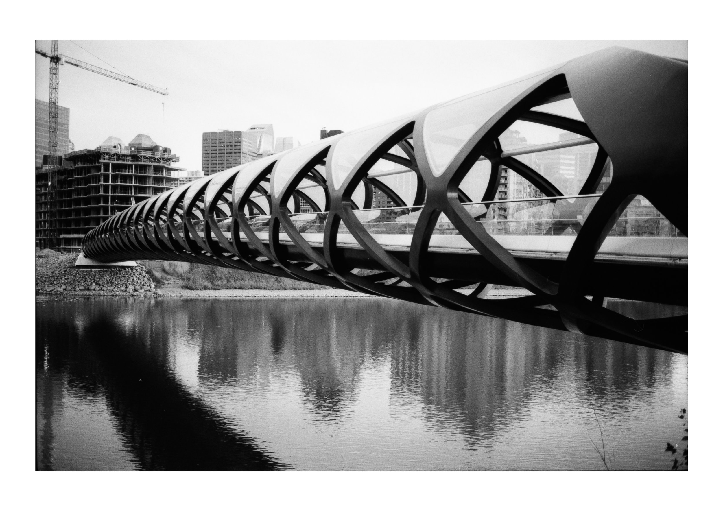 Diamondtimes Calgary Peace Bridge  Illford2.jpg