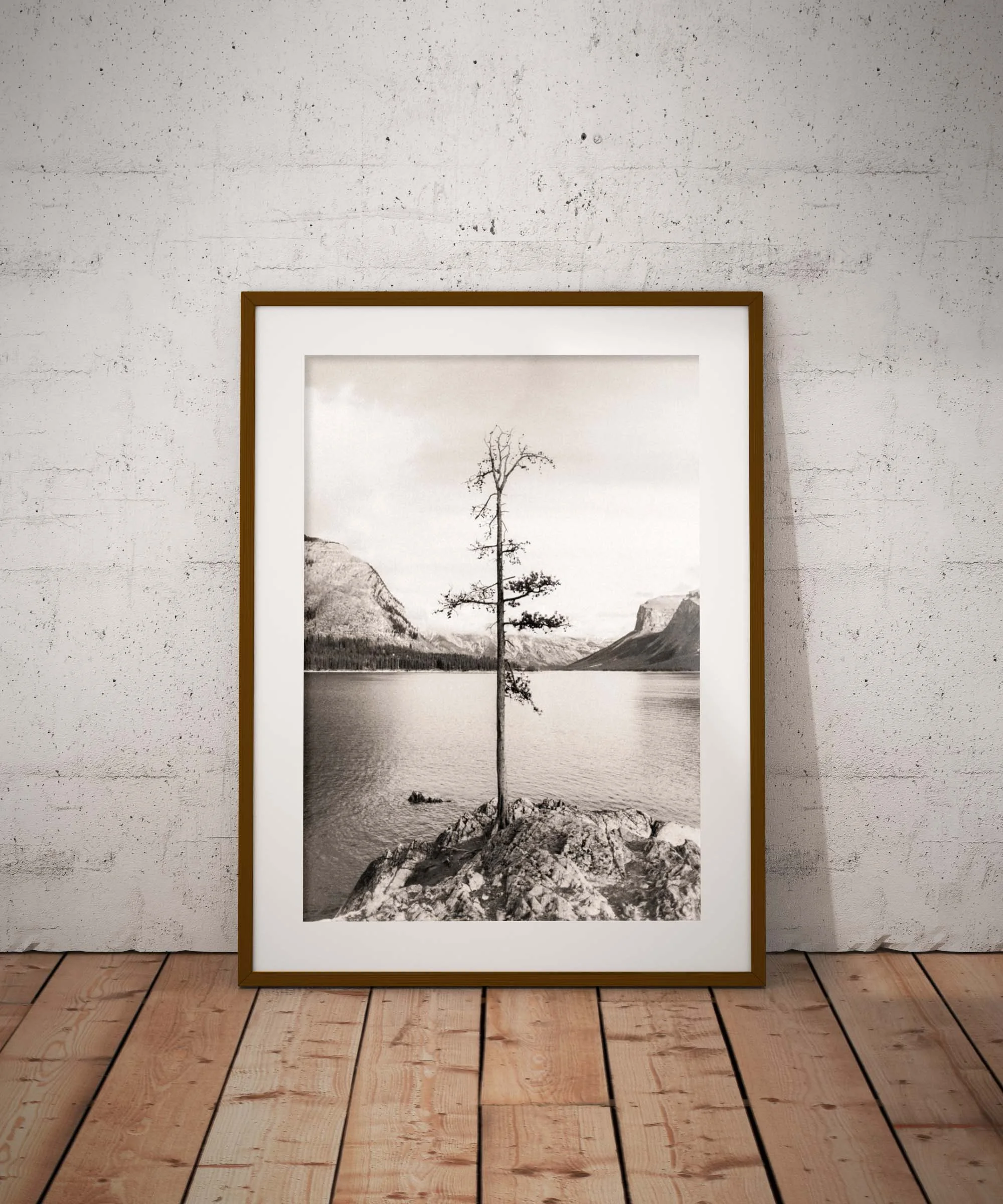 #001 Example Shop.jpg