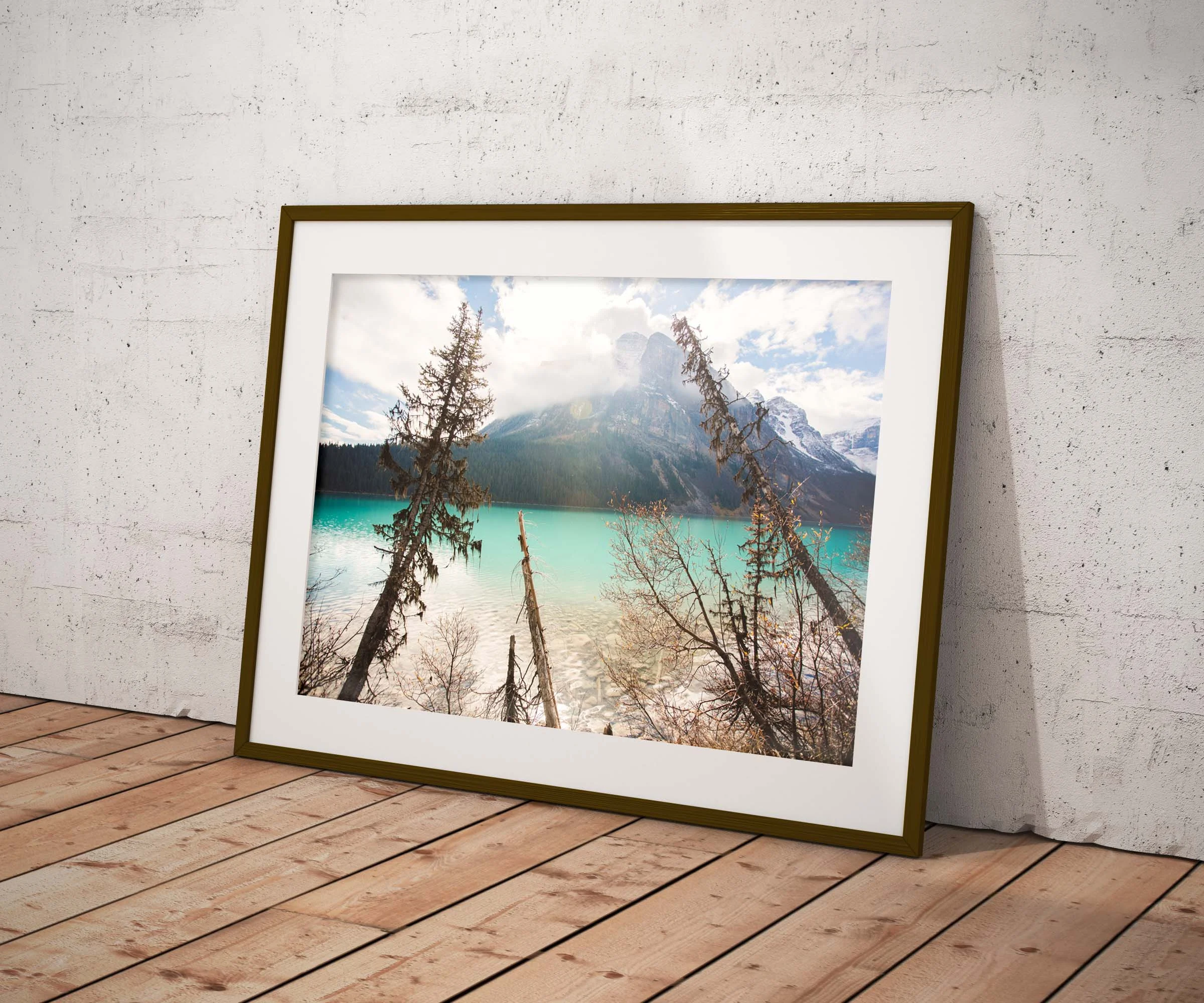 #002Example Shop.jpg