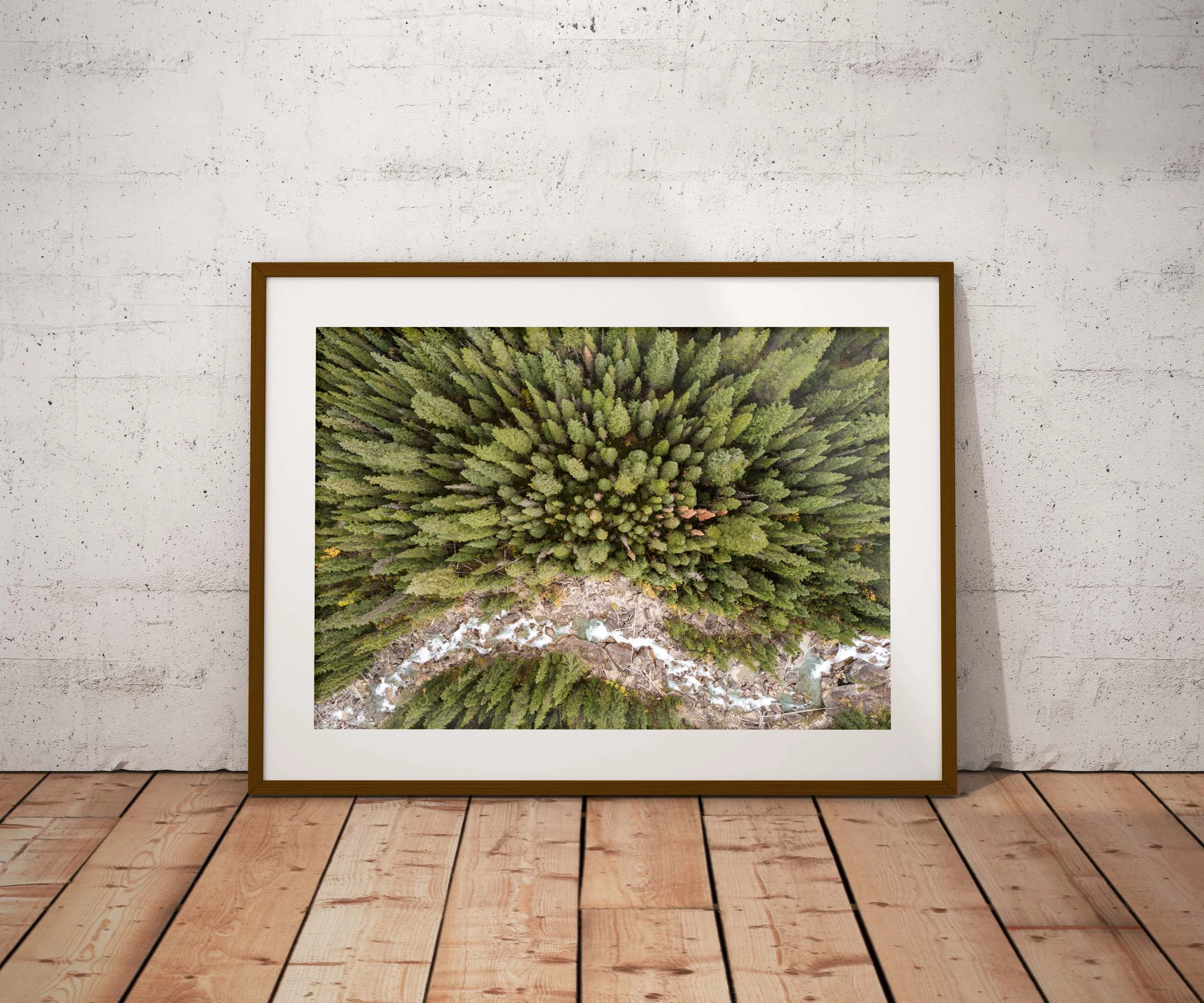 #008 Example Shop.jpg