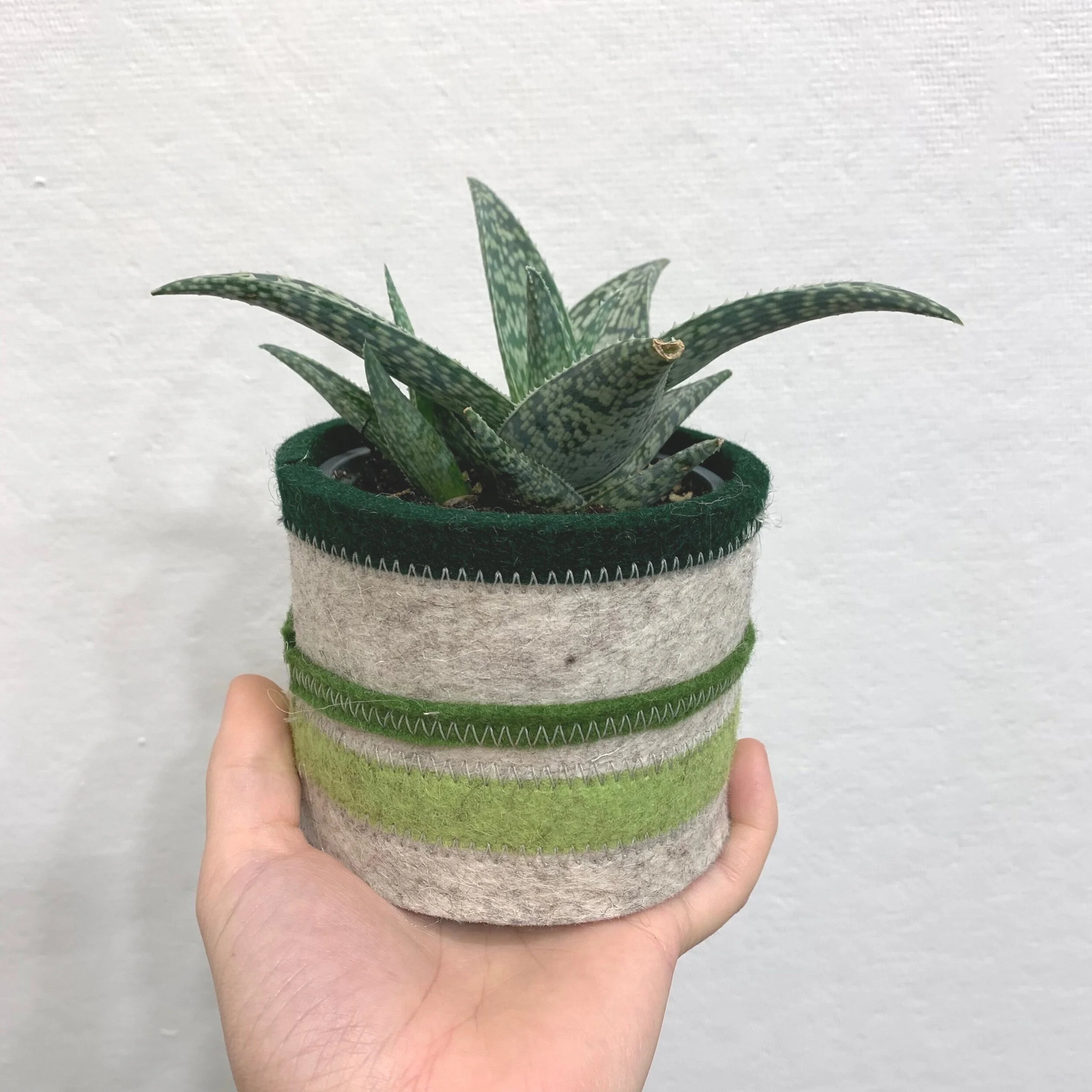 DA587DE5-F909-4EBD-8484-0787A62052C6