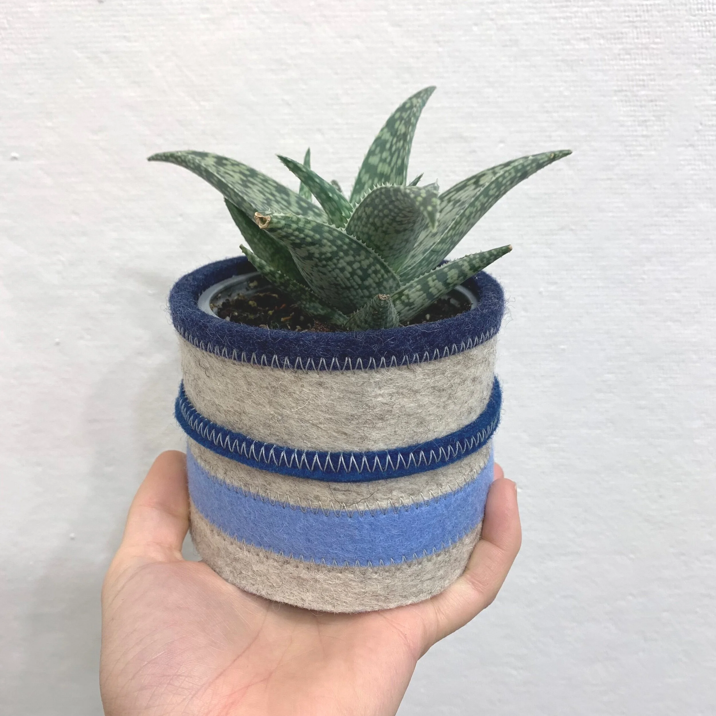 114AFCDB-5CCF-4F8D-B562-D9271B1A47A0