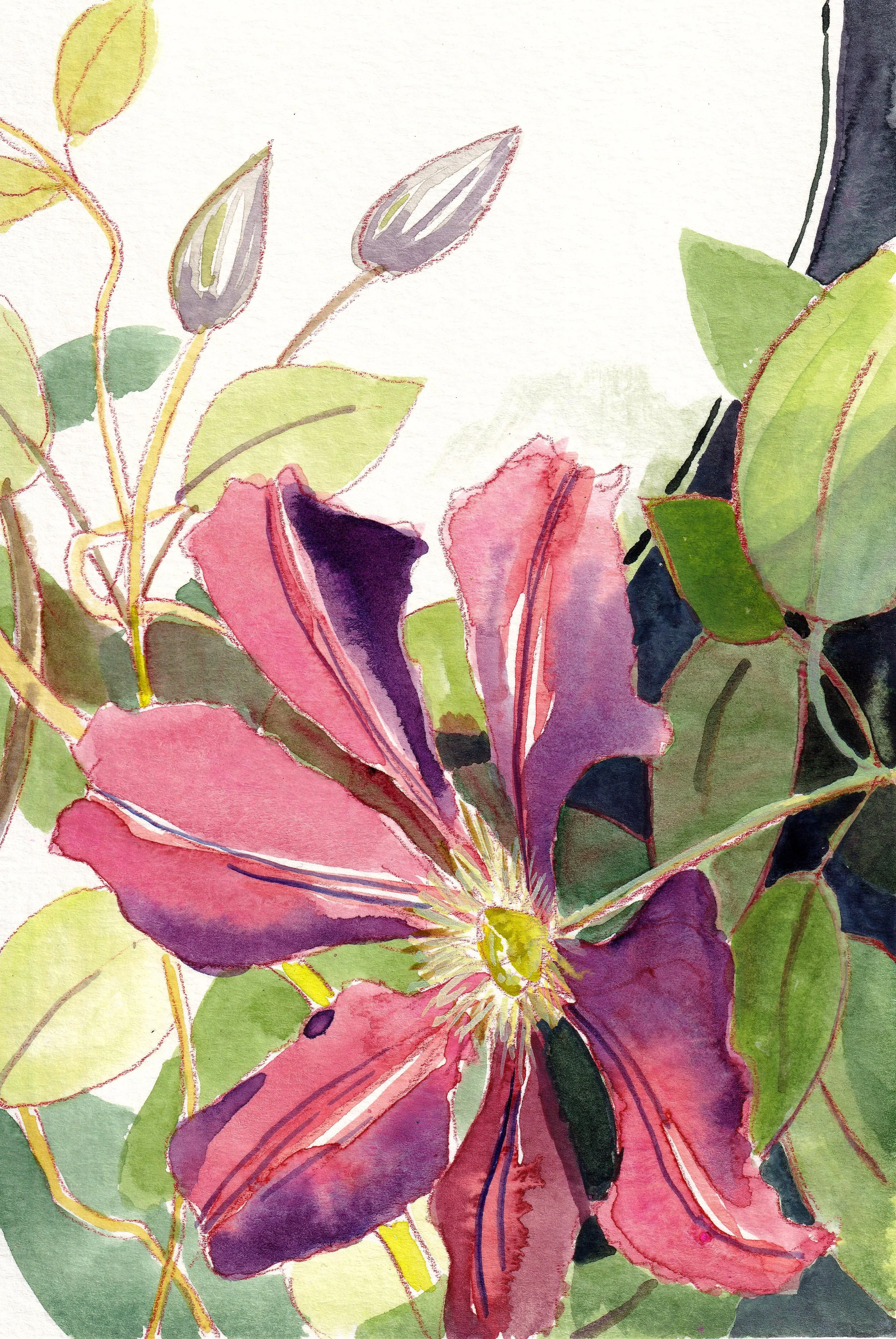 homegrown-_20250601_0008.jpg