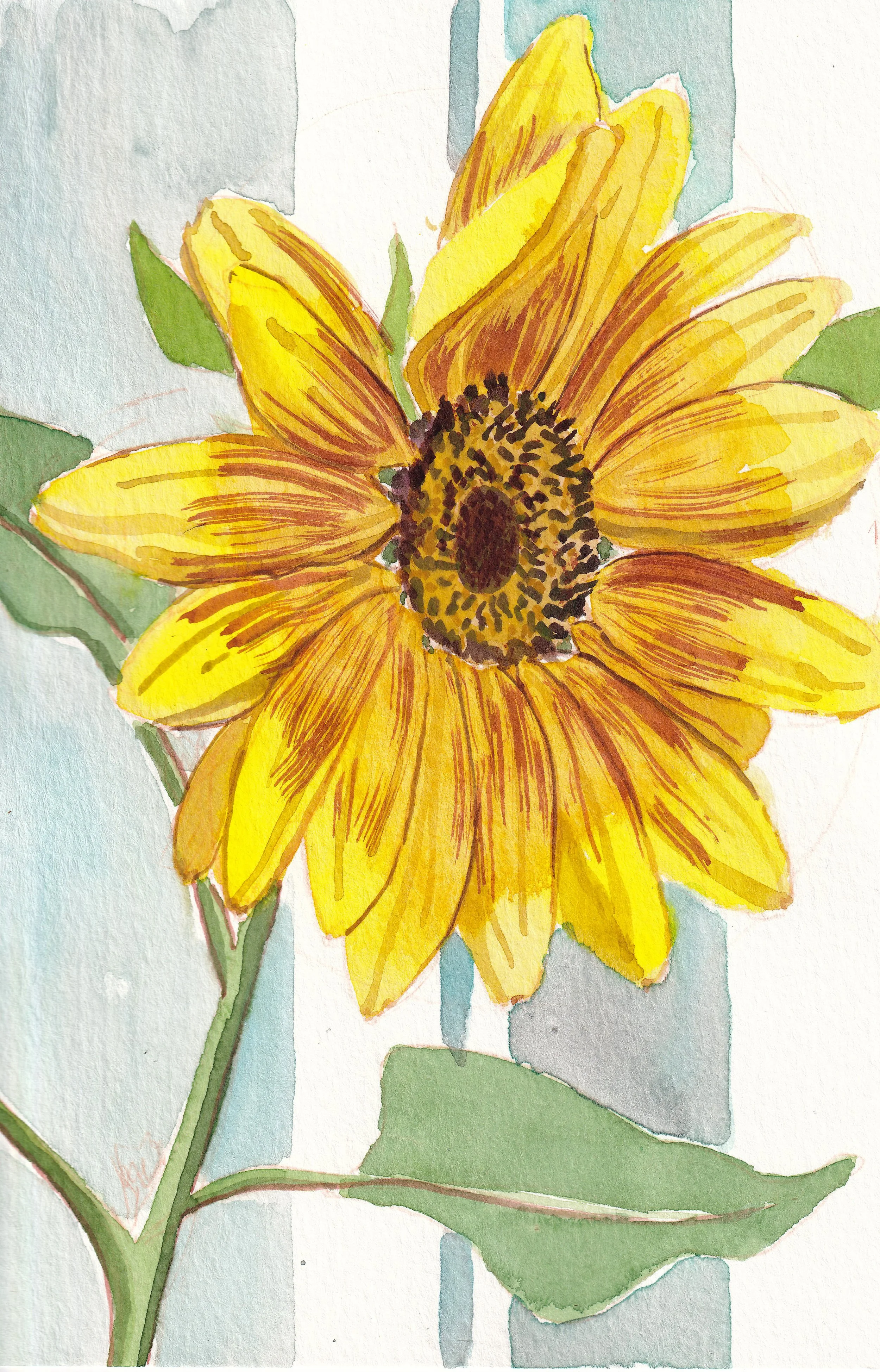 homegrown-_20250603_0054.jpg