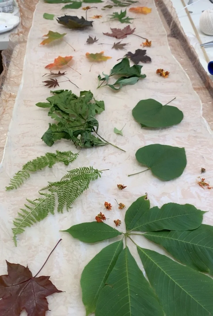 Screenshot 2024-11-06 at 6.48.30 PM.jpeg