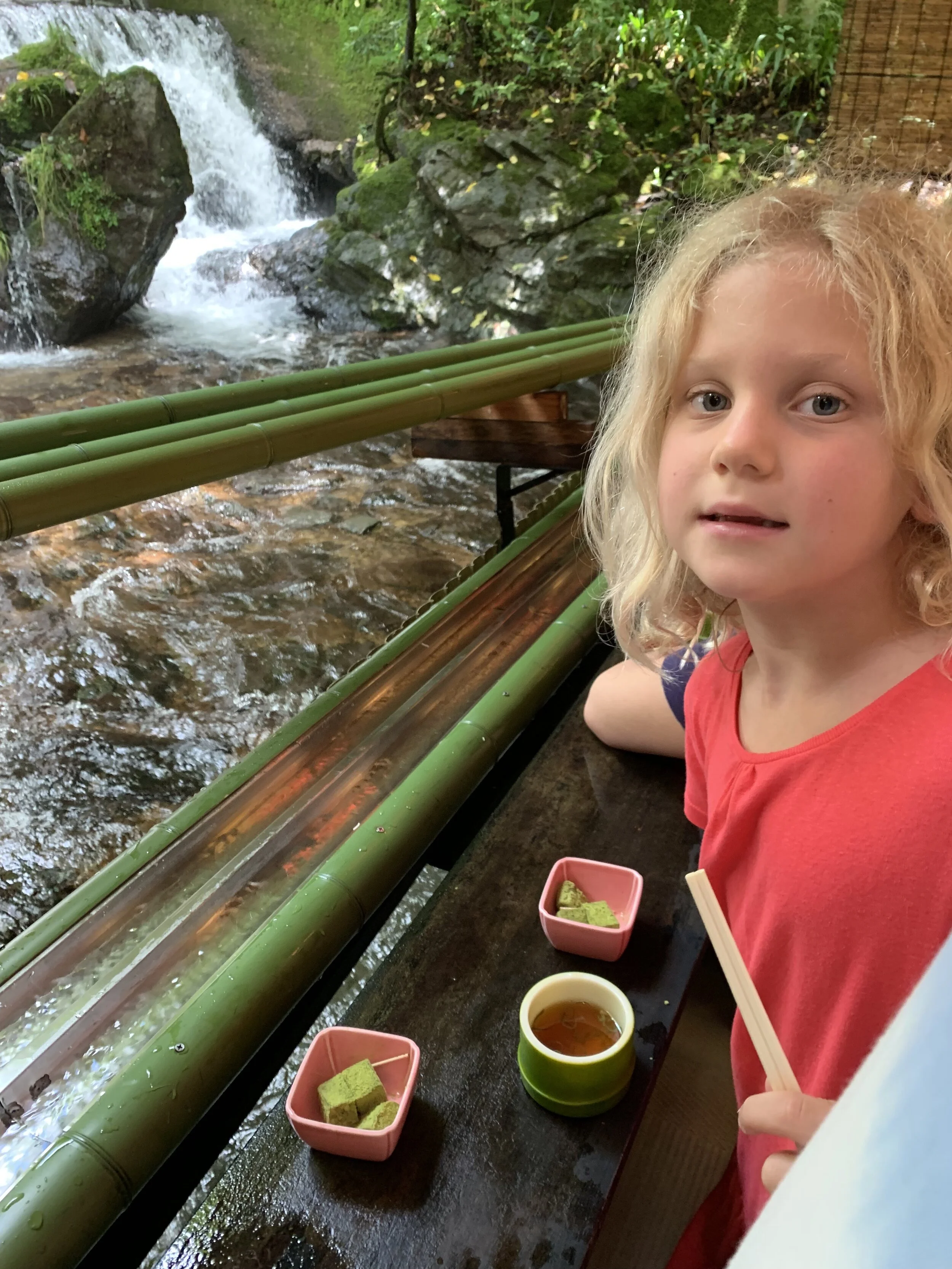 Japan: The Lost Entry on Hirobun