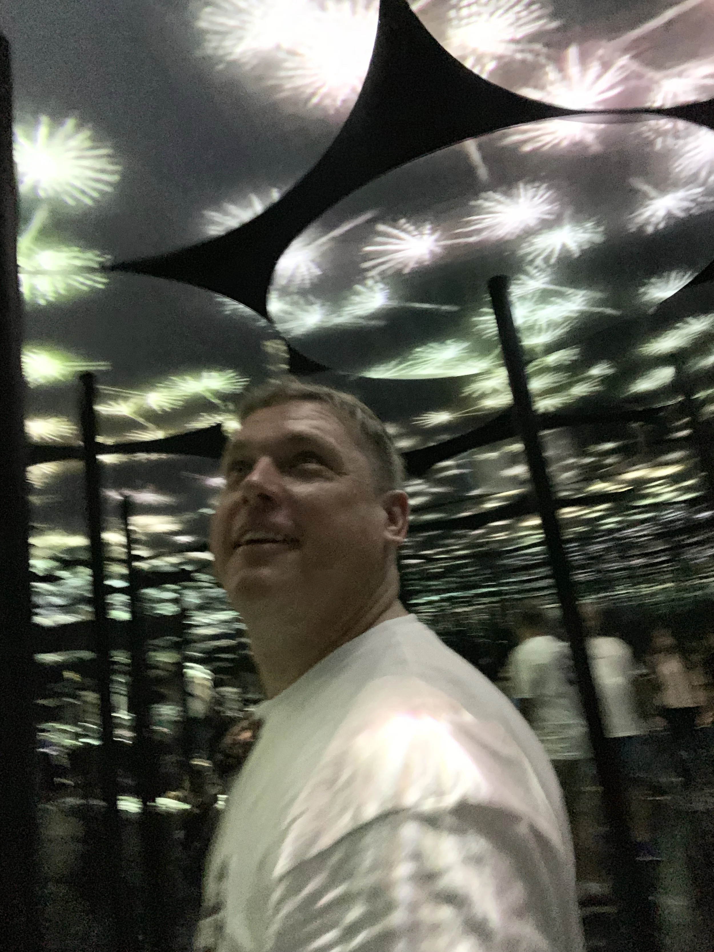 HK5 Japan: Chapter 3 “TeamLAB Surprise”