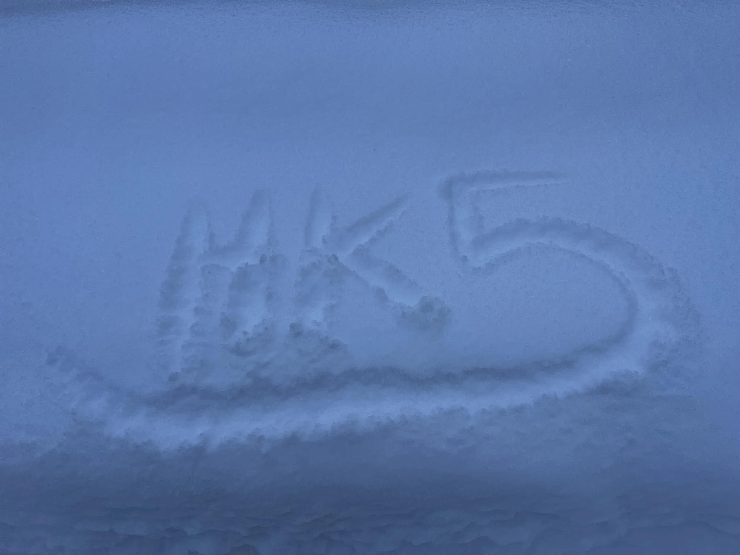 McCall in Winter: Ice Festival	