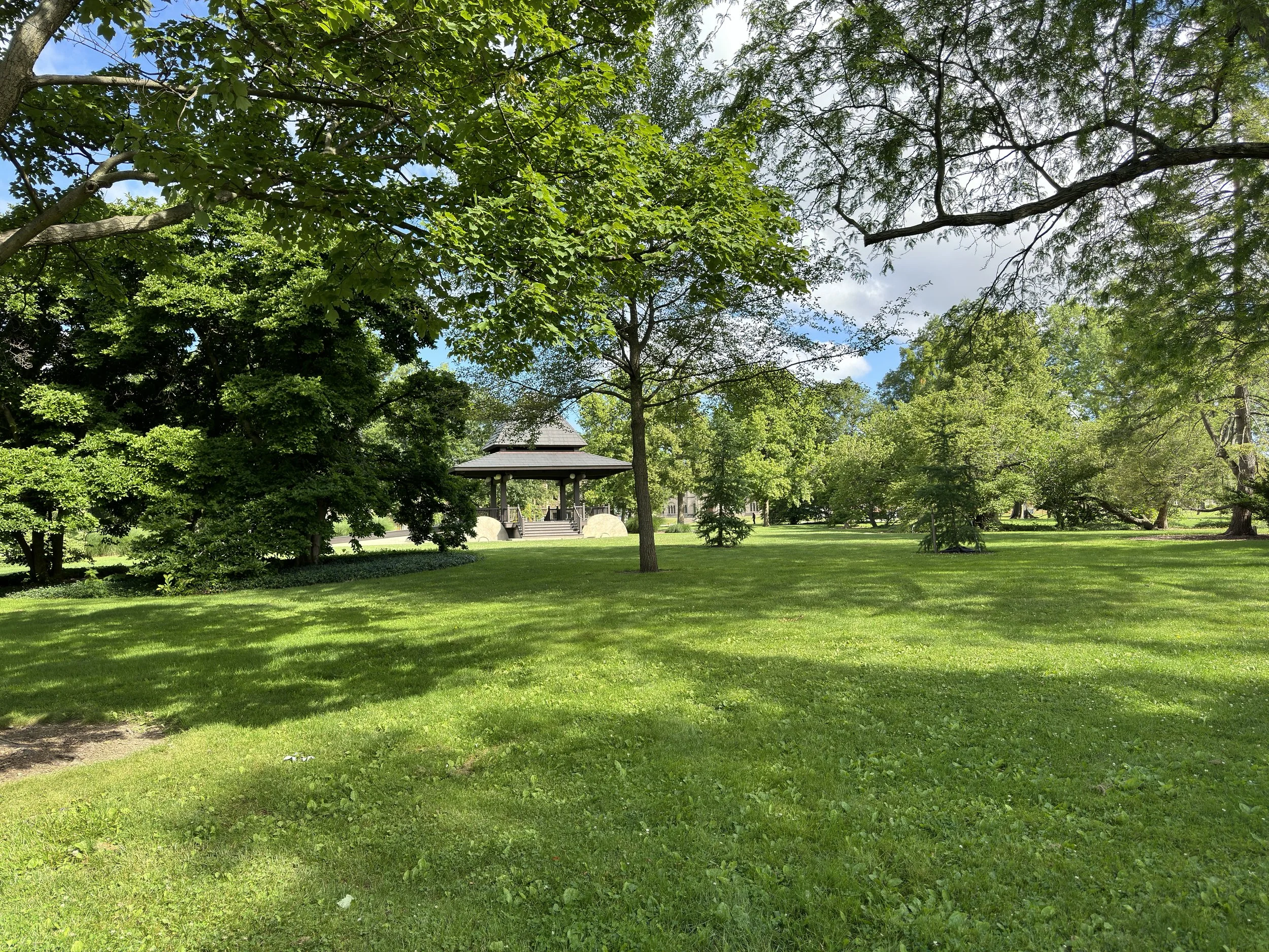 The College Road Trip: Jumping into the College Pond