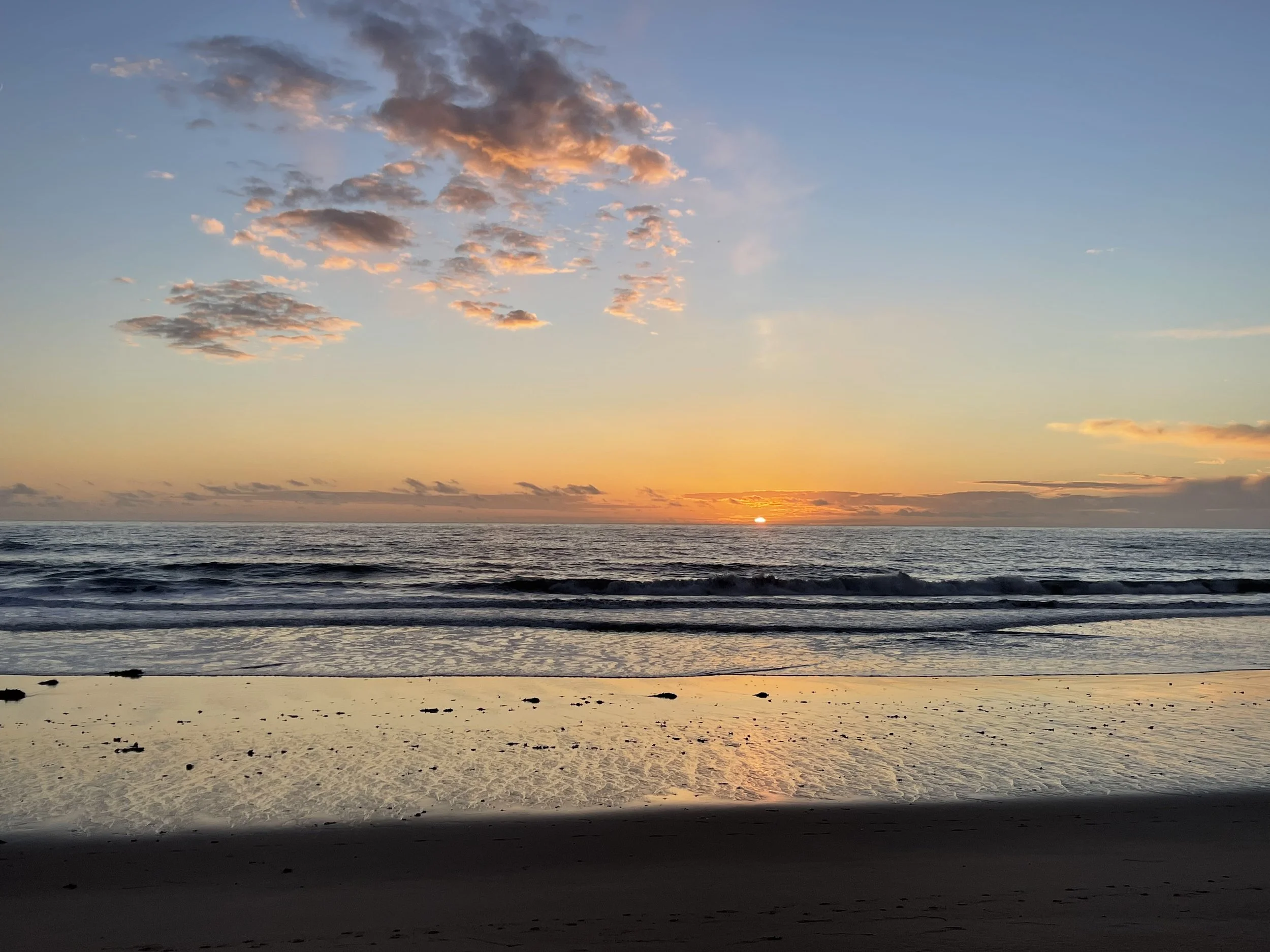 Palliative Care: One Last Burst of Energy