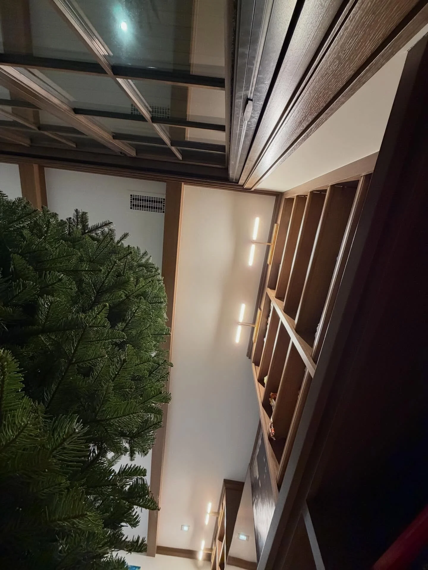 Current view. Can&rsquo;t wait for my back to be gone after the lights. lol. I love Christmas!