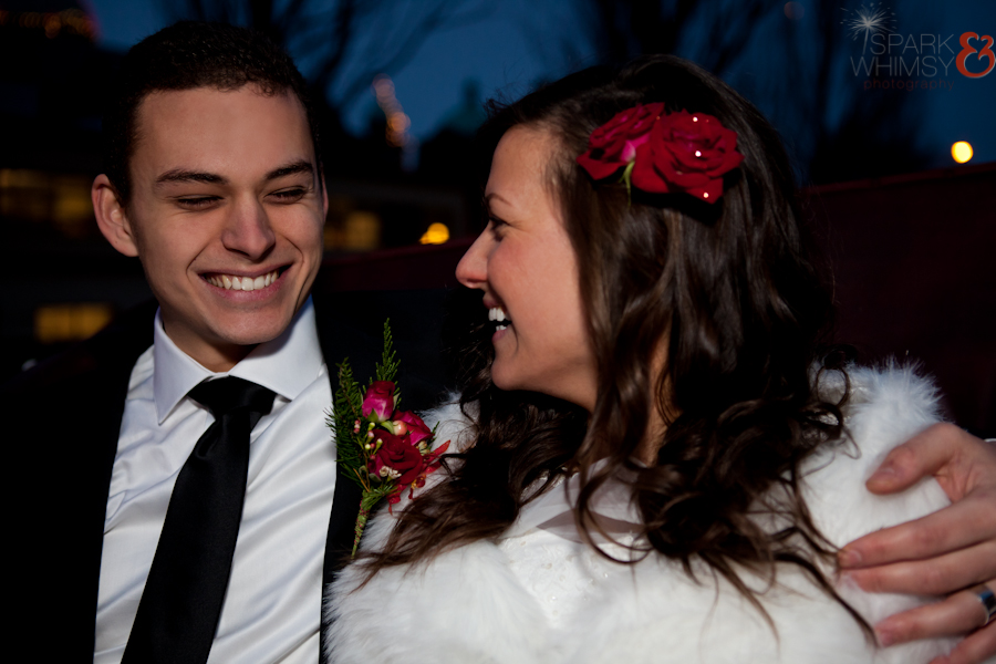 WinterWedding2014-1353-Edit.jpg