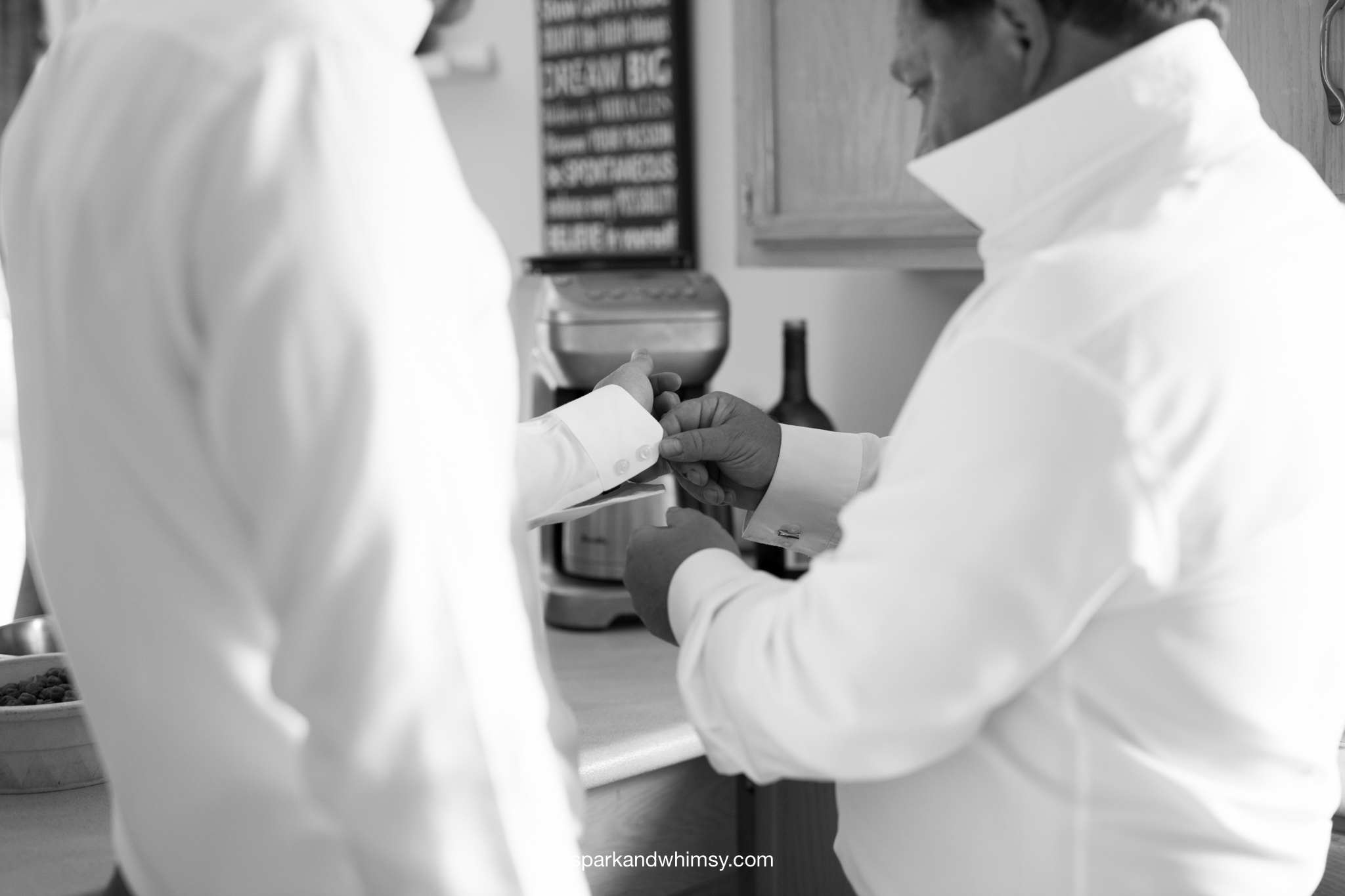 JannaLexWedding2015-6.jpg