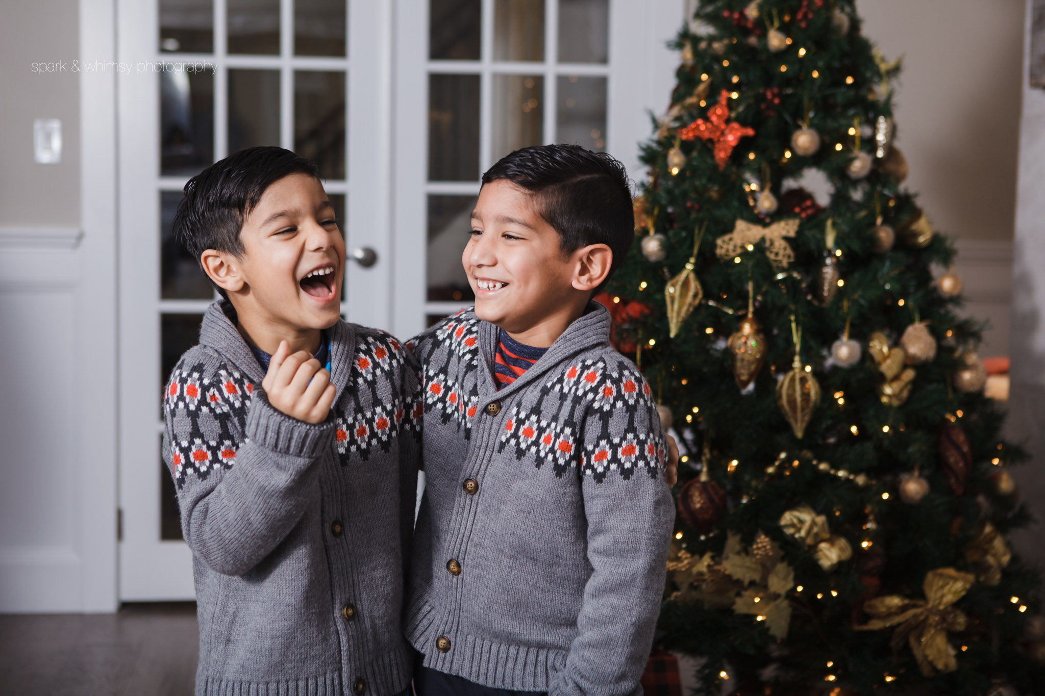 Portrait of brothers laughing at Christmas | Victoria BC Family Photographer