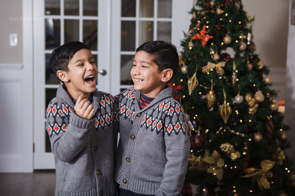 Portrait of brothers laughing at Christmas | Victoria BC Family Photographer