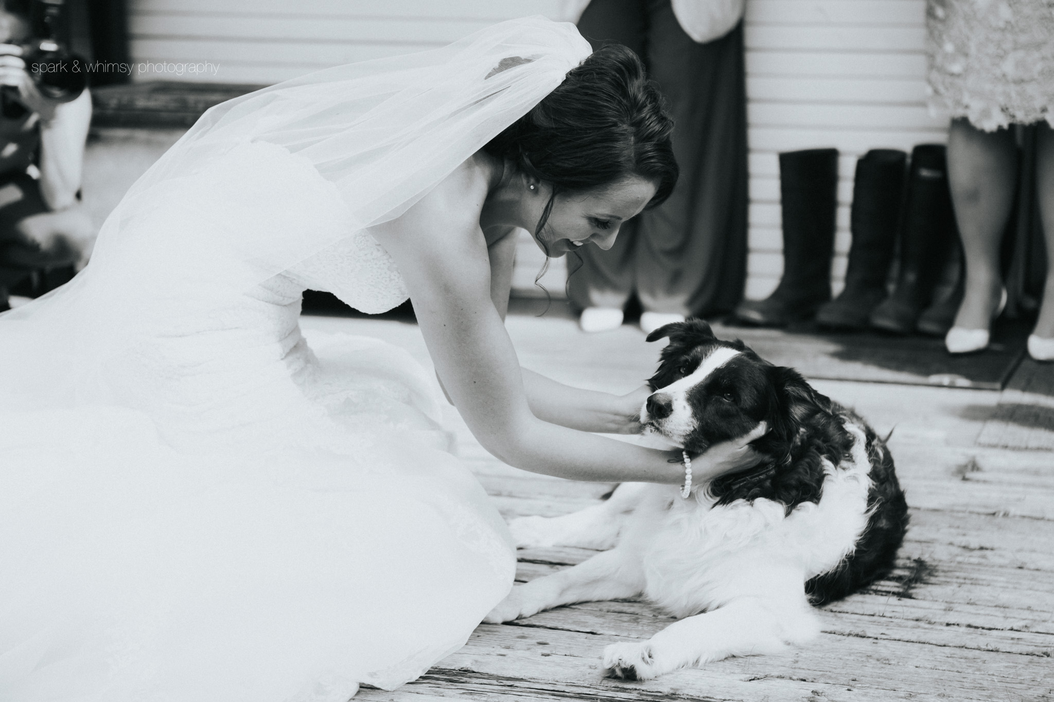 candid photo of bride with dog | Wedding Photographer Victoria BC