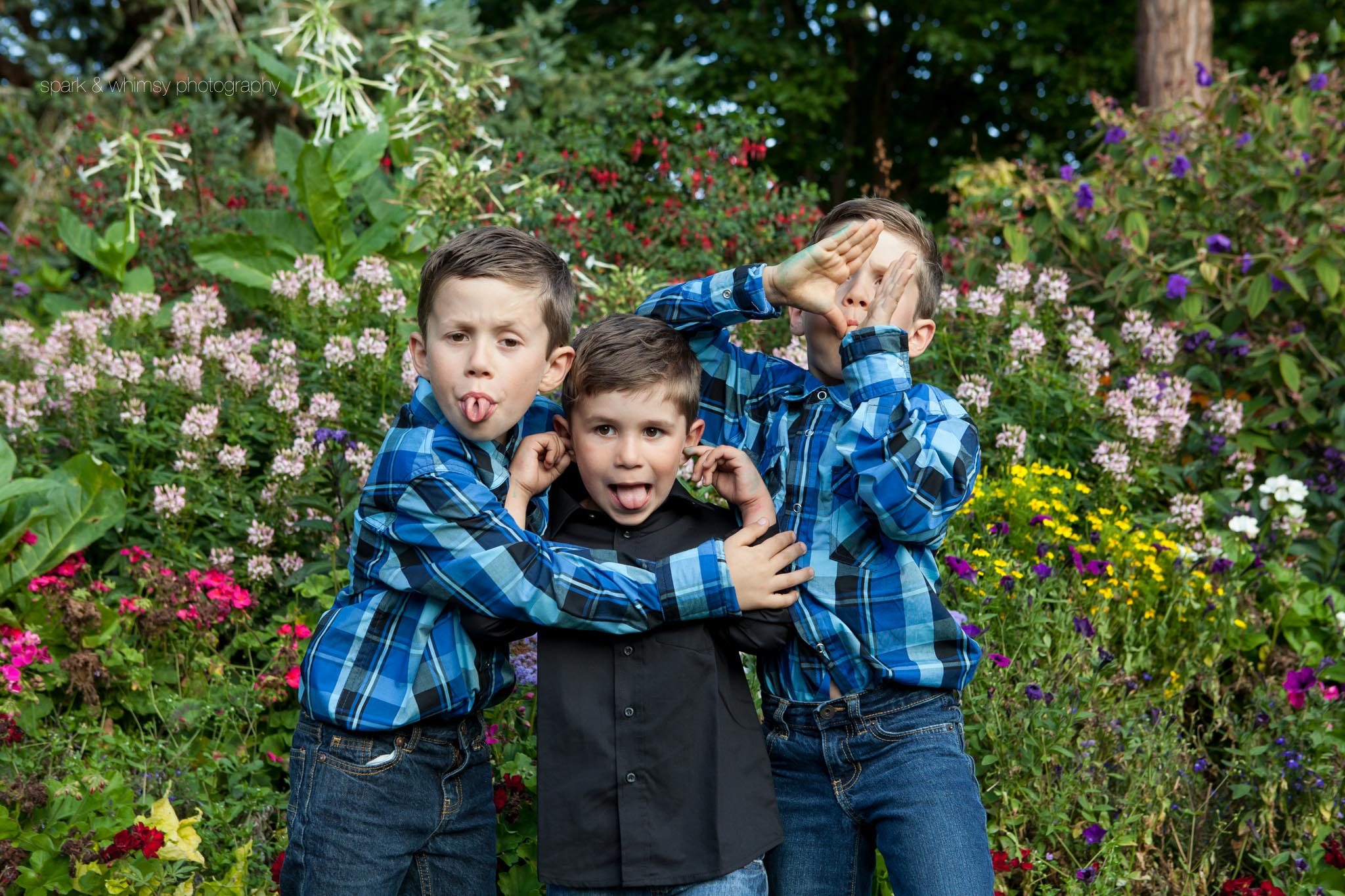 silly brothers portrait | family photographer victoria bc
