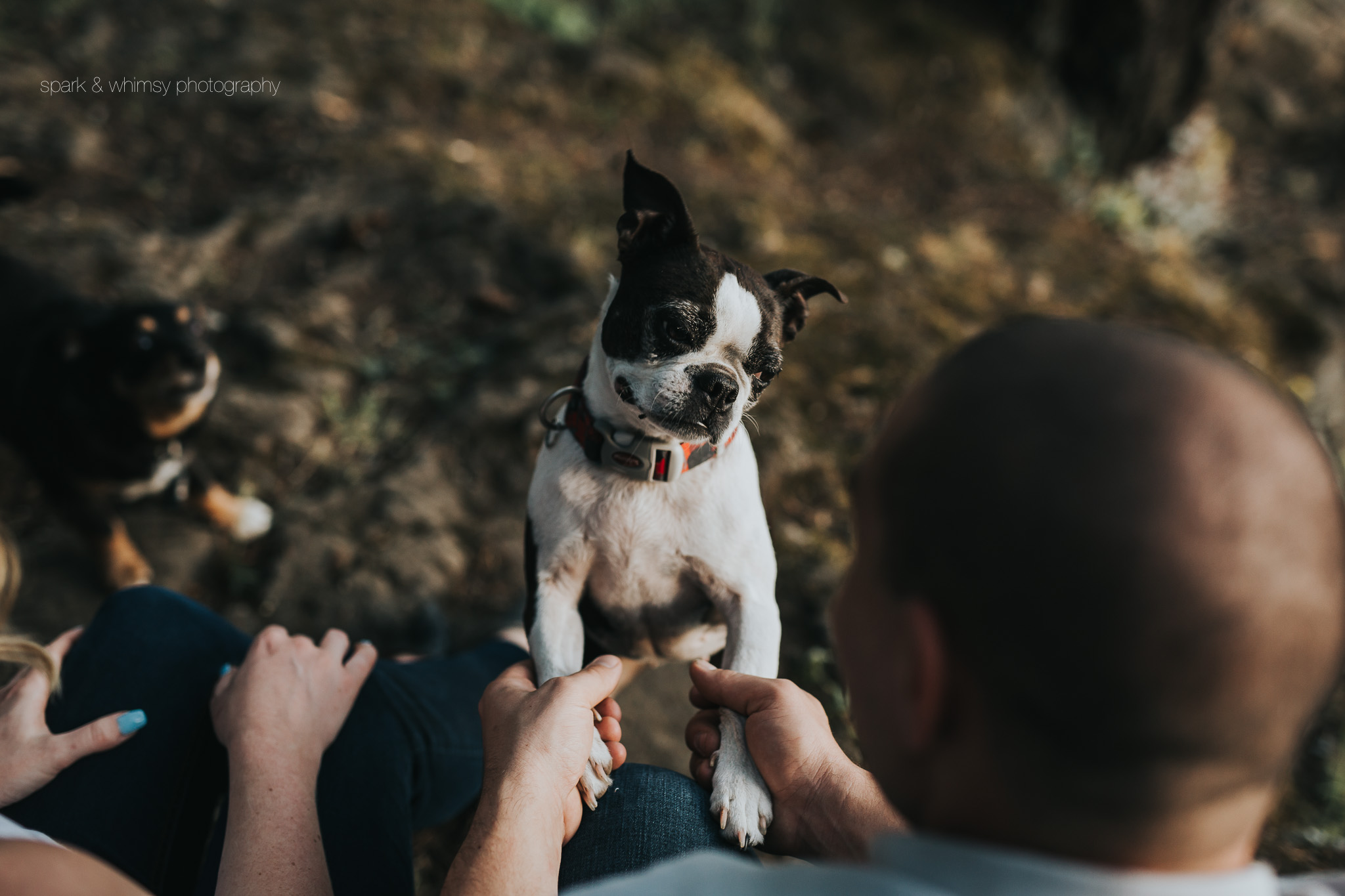 JannineMattEngagementSession2017-621.jpg