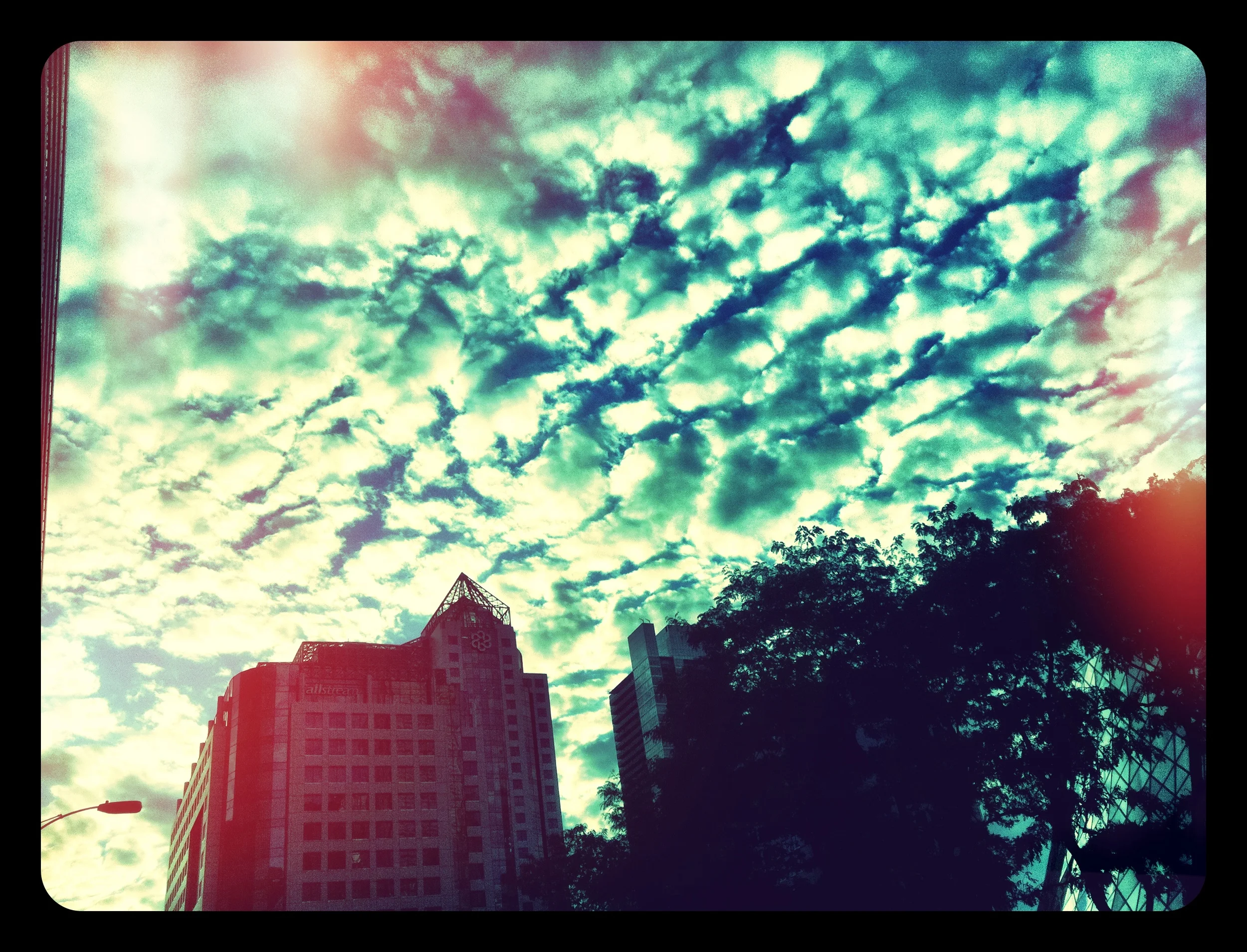 Pearl Jam 9.11.11 Toronto