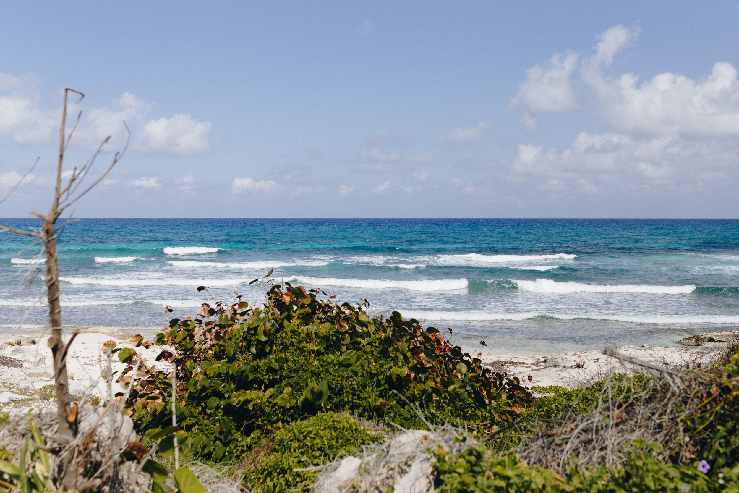 terwedo-destination-wedding-isla-mujeres-blog-34.jpg