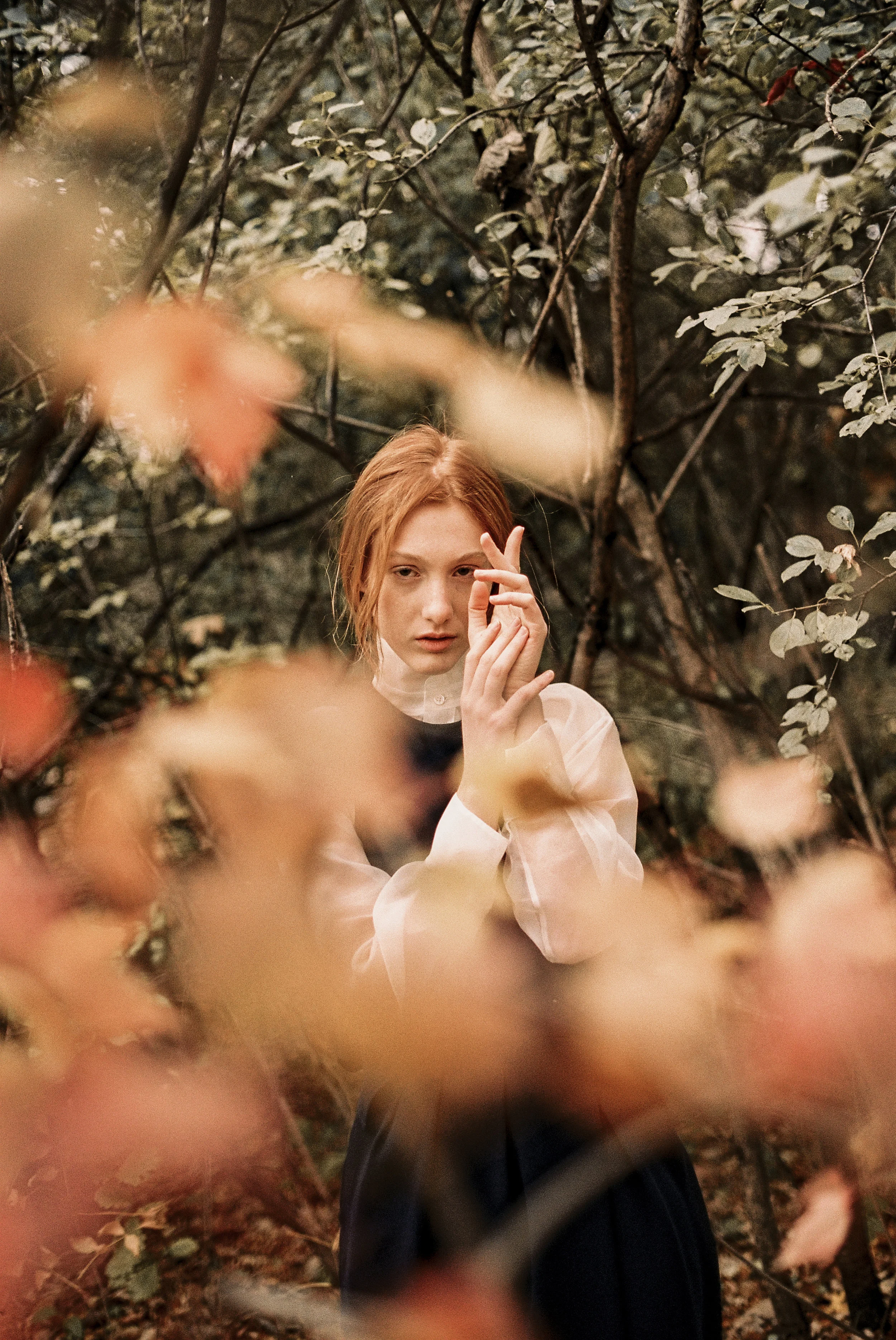 004-AUTUMNREBIRTH.jpg